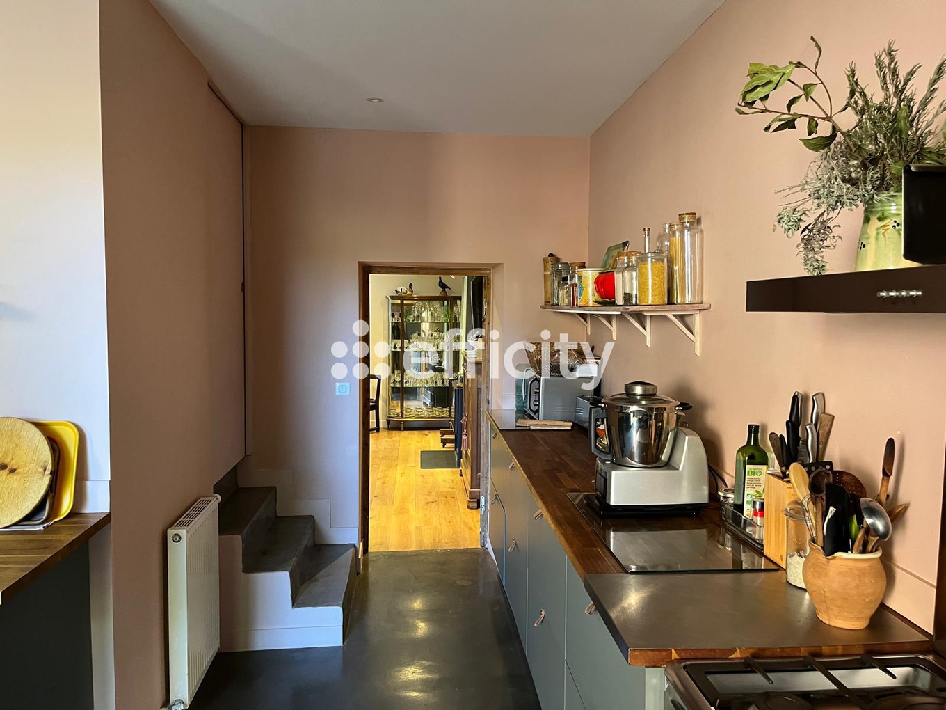 Achat immobilier Maison 6 pièces  257m2 à Vernioz (38150) - Photo n°4
