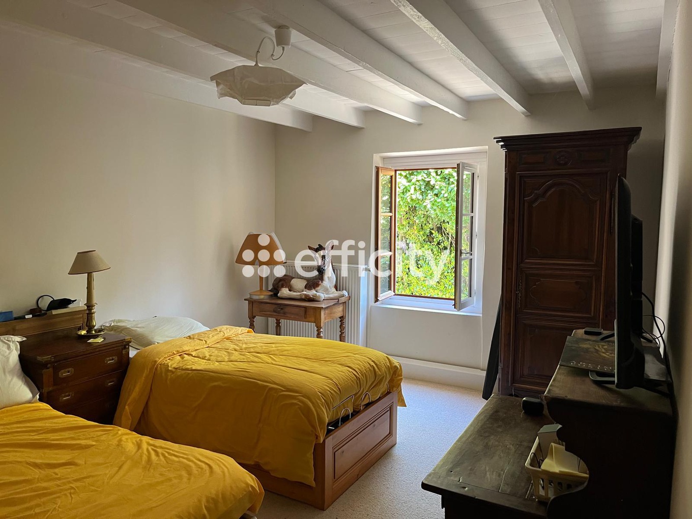Achat immobilier Maison 6 pièces  257m2 à Vernioz (38150) - Photo n°12