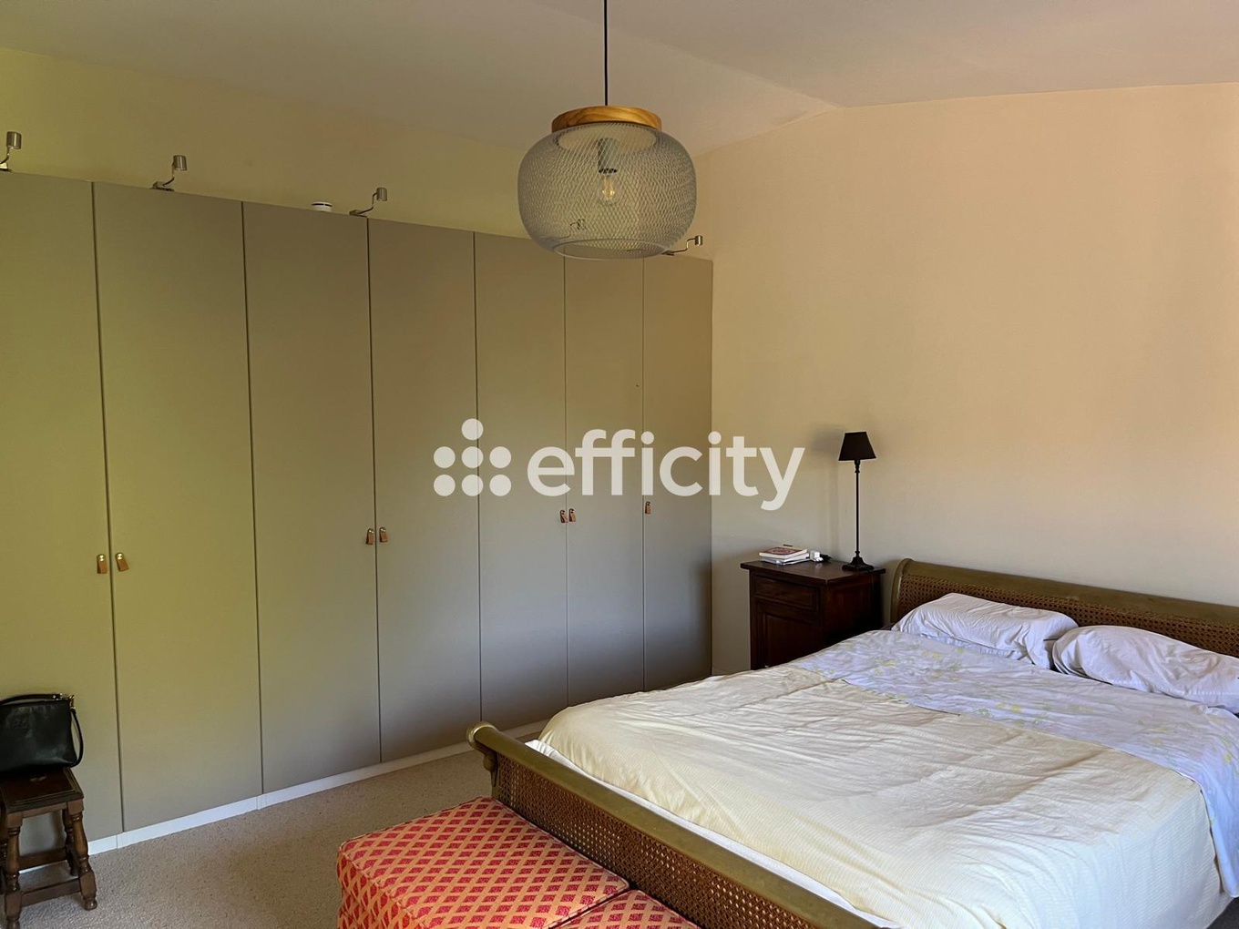 Achat immobilier Maison 6 pièces  257m2 à Vernioz (38150) - Photo n°9