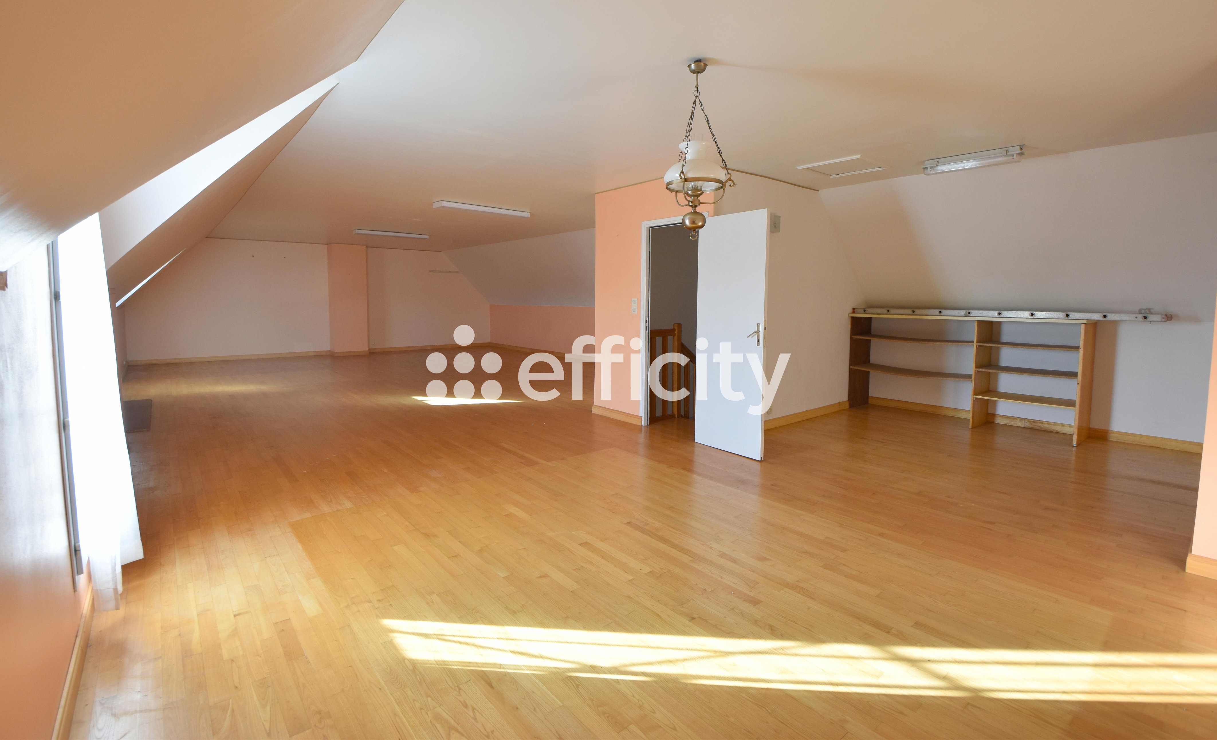 Achat immobilier Maison 7 pièces  150m2 à Logonna-Daoulas (29460) - Photo n°10