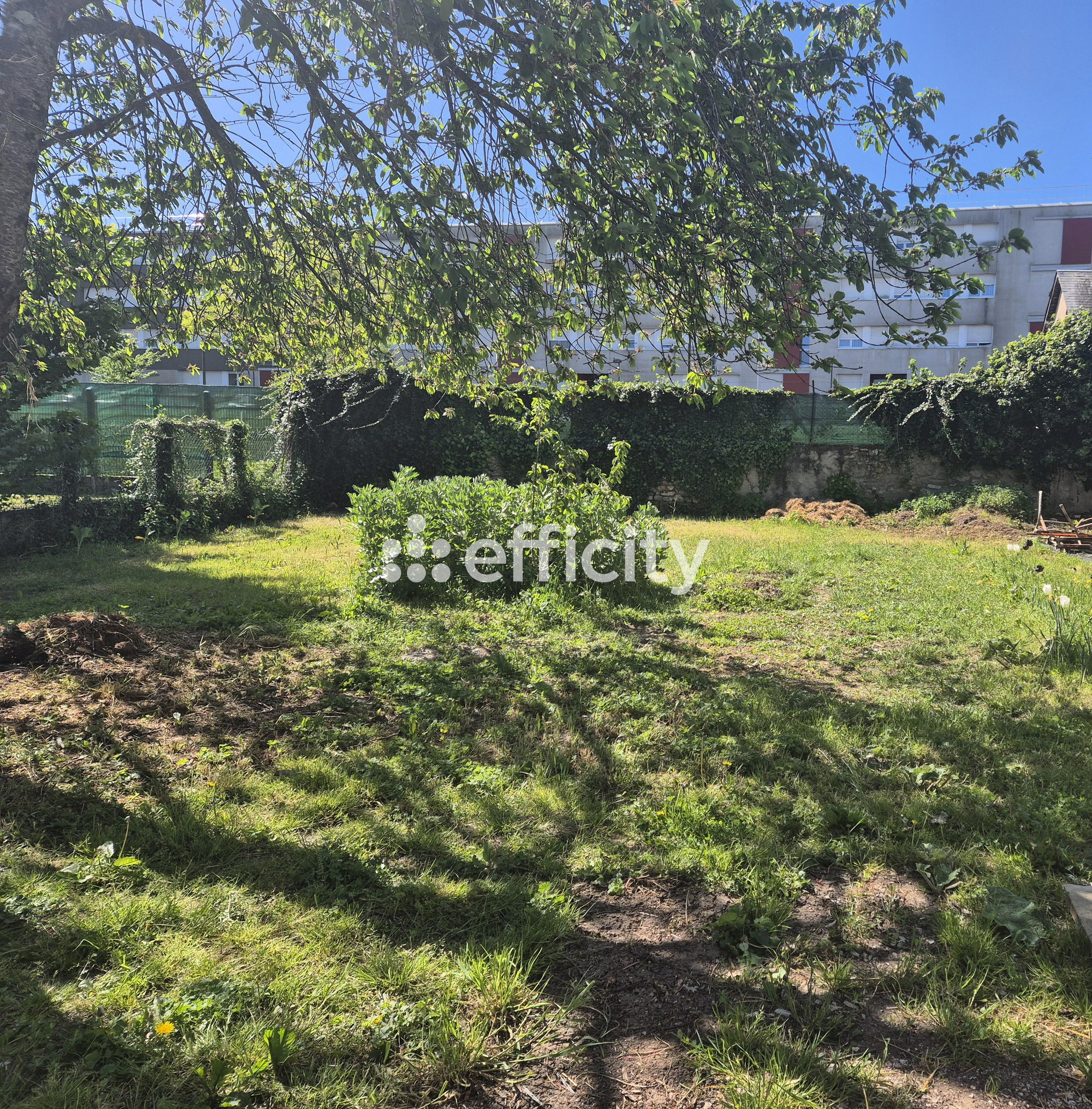 Achat immobilier Maison 5 pièces  115m2 à Blois (41000) - Photo n°4