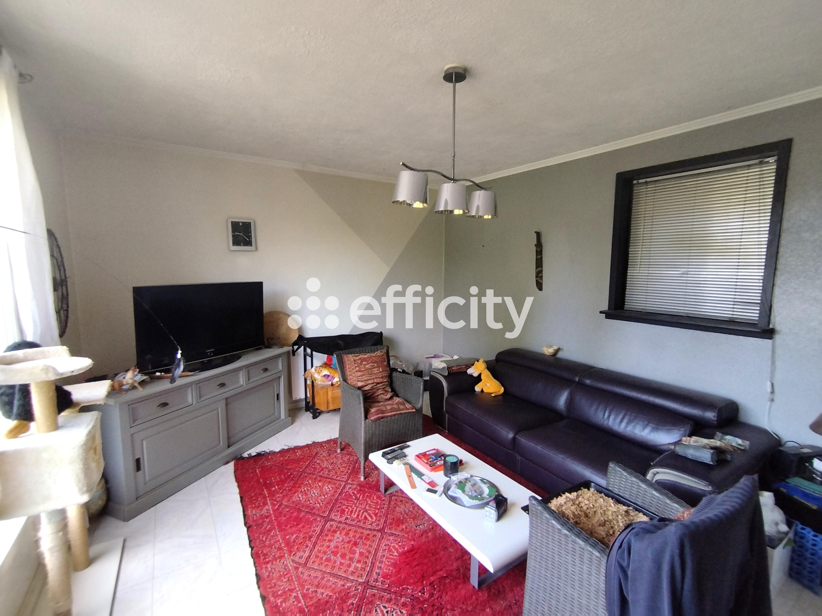 Achat immobilier Maison 7 pièces  140m2 à Saint-Saturnin (18370) - Photo n°6
