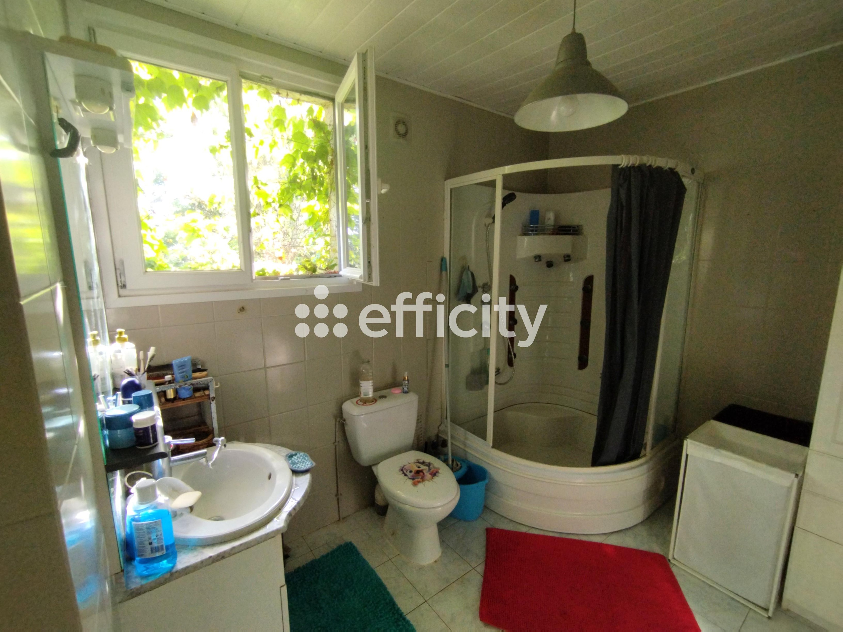 Achat immobilier Maison 7 pièces  140m2 à Saint-Saturnin (18370) - Photo n°13