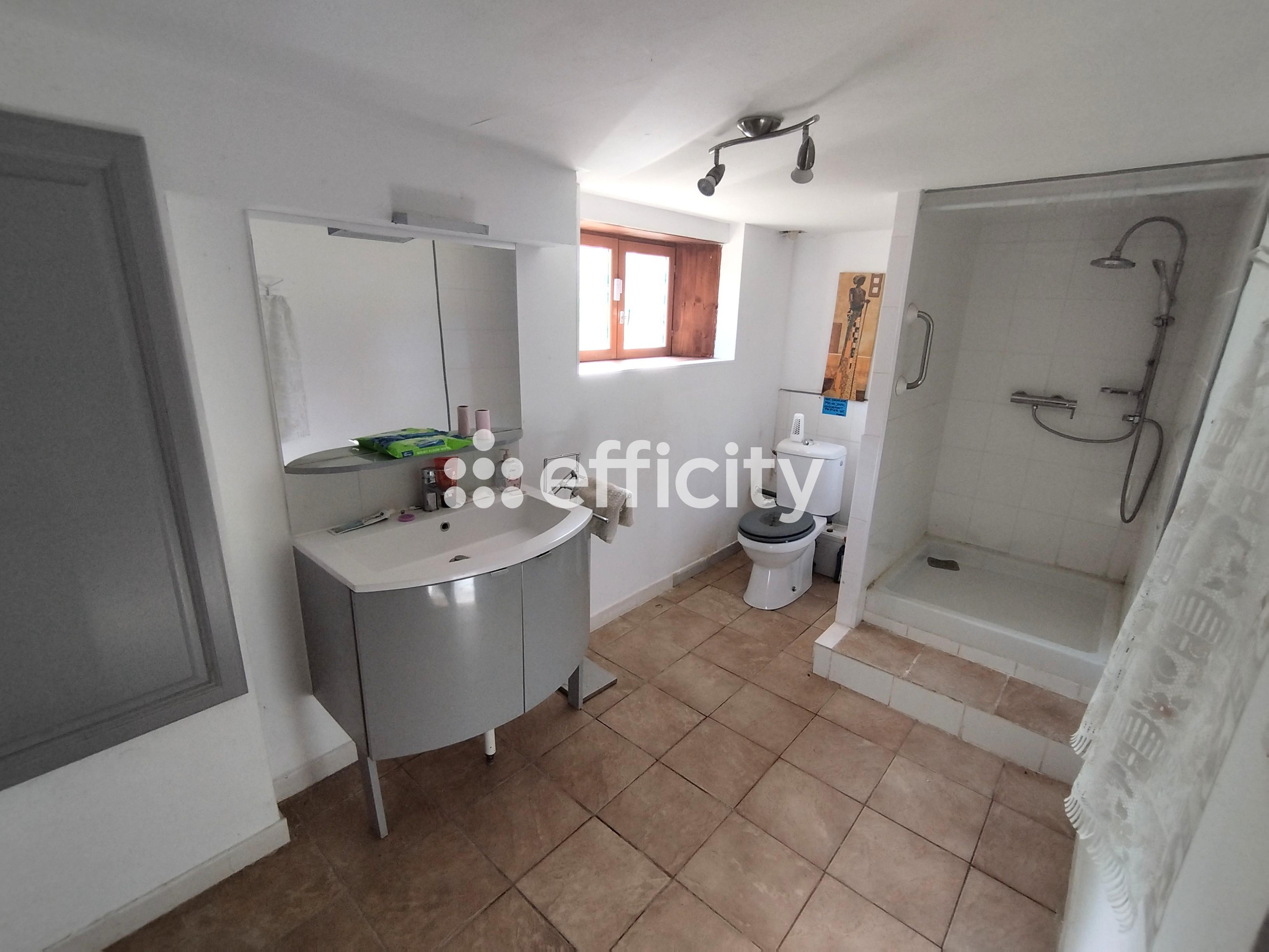 Achat immobilier Maison 7 pièces  140m2 à Saint-Saturnin (18370) - Photo n°5