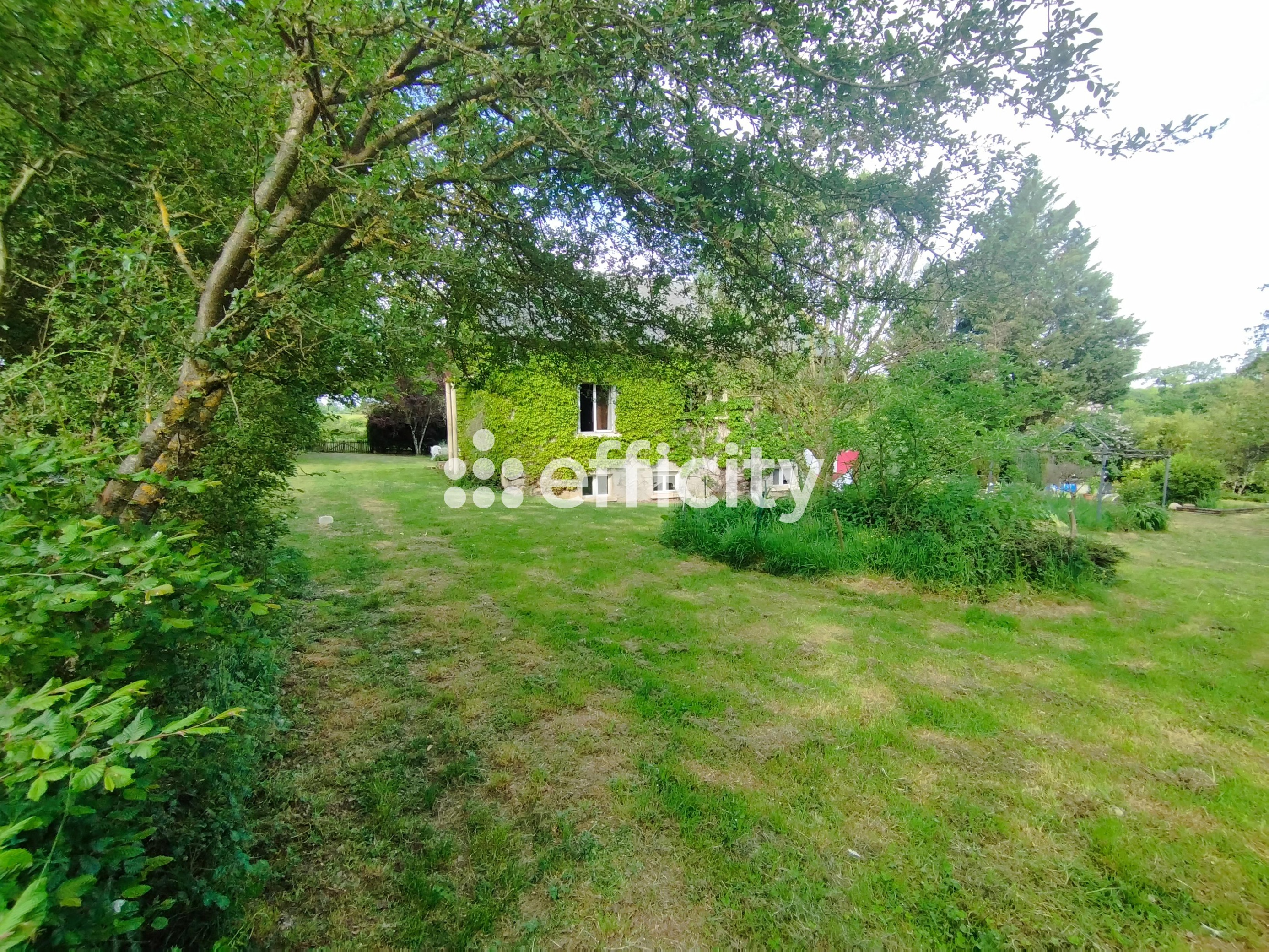 Achat immobilier Maison 7 pièces  140m2 à Saint-Saturnin (18370) - Photo n°19