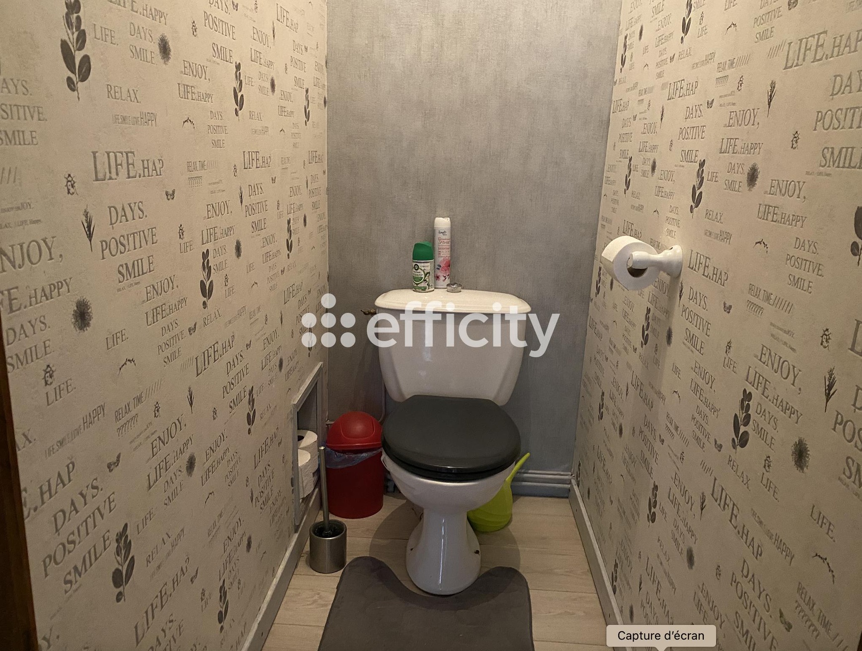 Achat immobilier Maison 7 pièces  150m2 à Feurs (42110) - Photo n°15