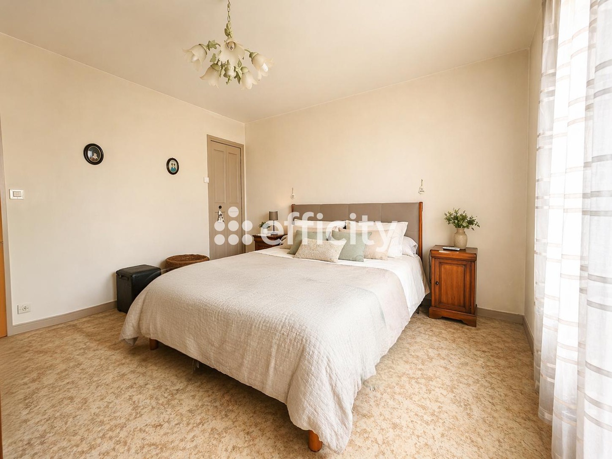 Achat immobilier Maison 8 pièces  164m2 à Saint-Genouph (37510) - Photo n°9