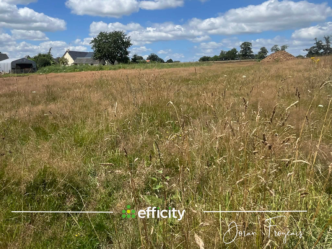 terrain  - 2300m2 à Moulines (50600)