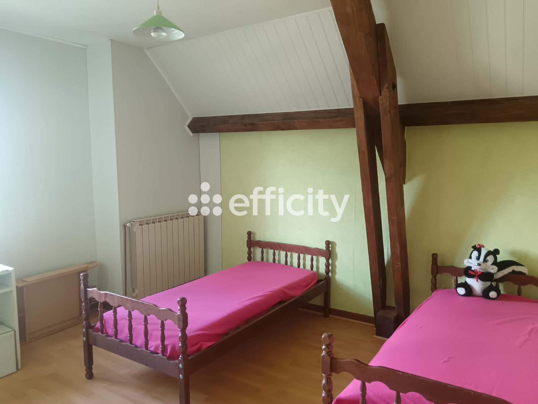 Achat immobilier Maison 10 pièces  227m2 à Chambles (42170) - Photo n°9