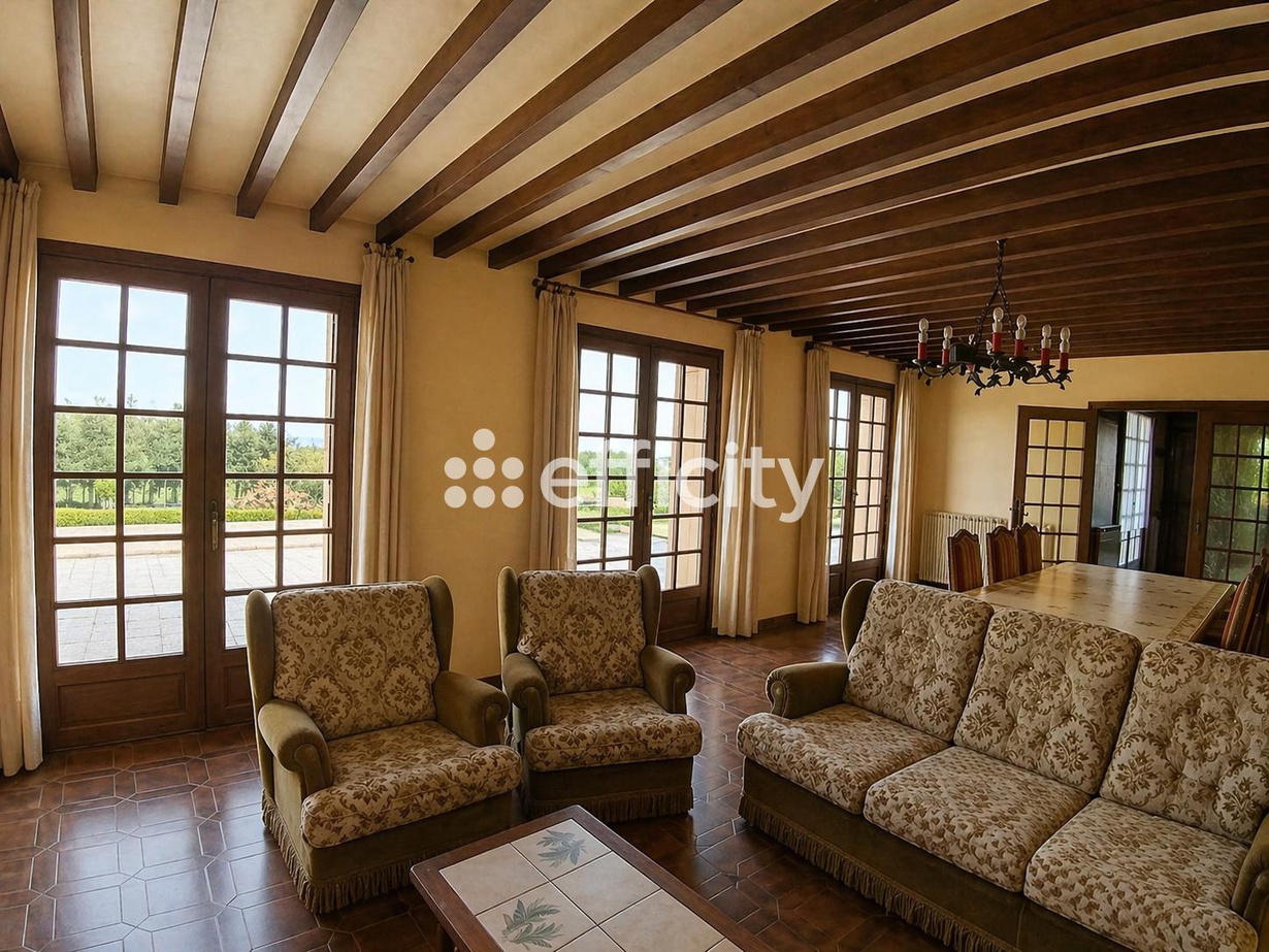 Achat immobilier Maison 10 pièces  227m2 à Chambles (42170) - Photo n°4