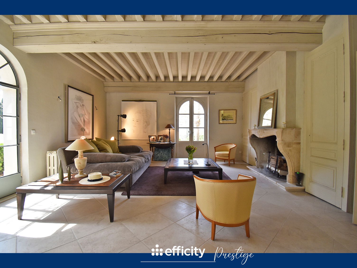 Achat immobilier Maison 11 pièces  491m2 à Andrézieux-Bouthéon (42160) - Photo n°6