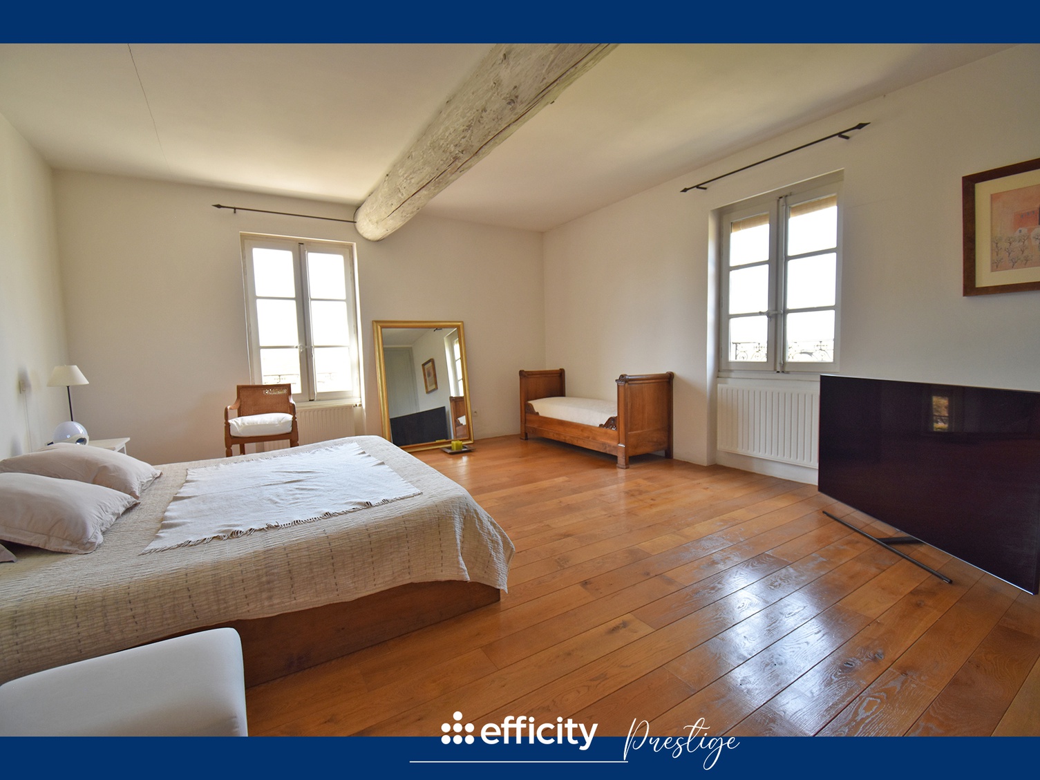 Achat immobilier Maison 11 pièces  491m2 à Andrézieux-Bouthéon (42160) - Photo n°10