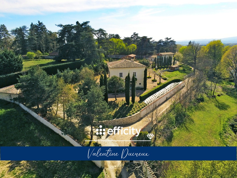 maison 11 pièces - 491m2 à Andrézieux-Bouthéon (42160)