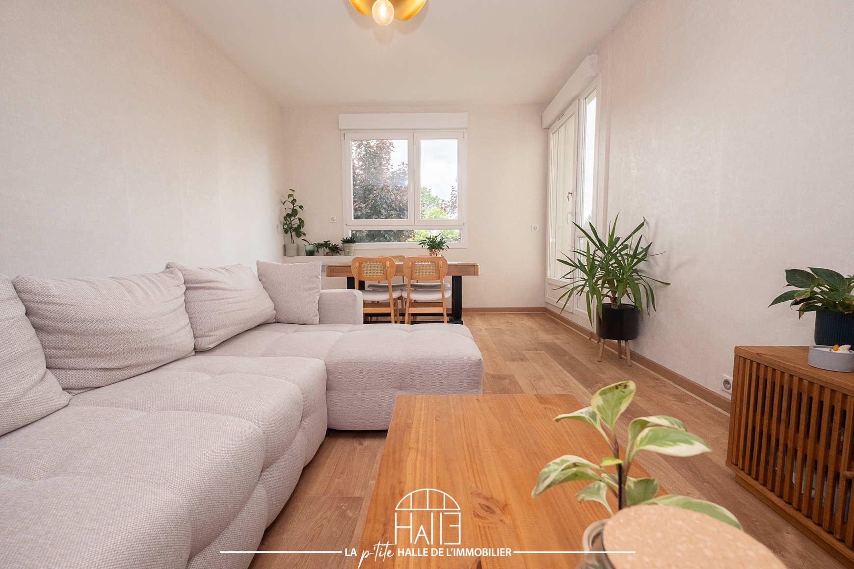 Appartement - Limoges