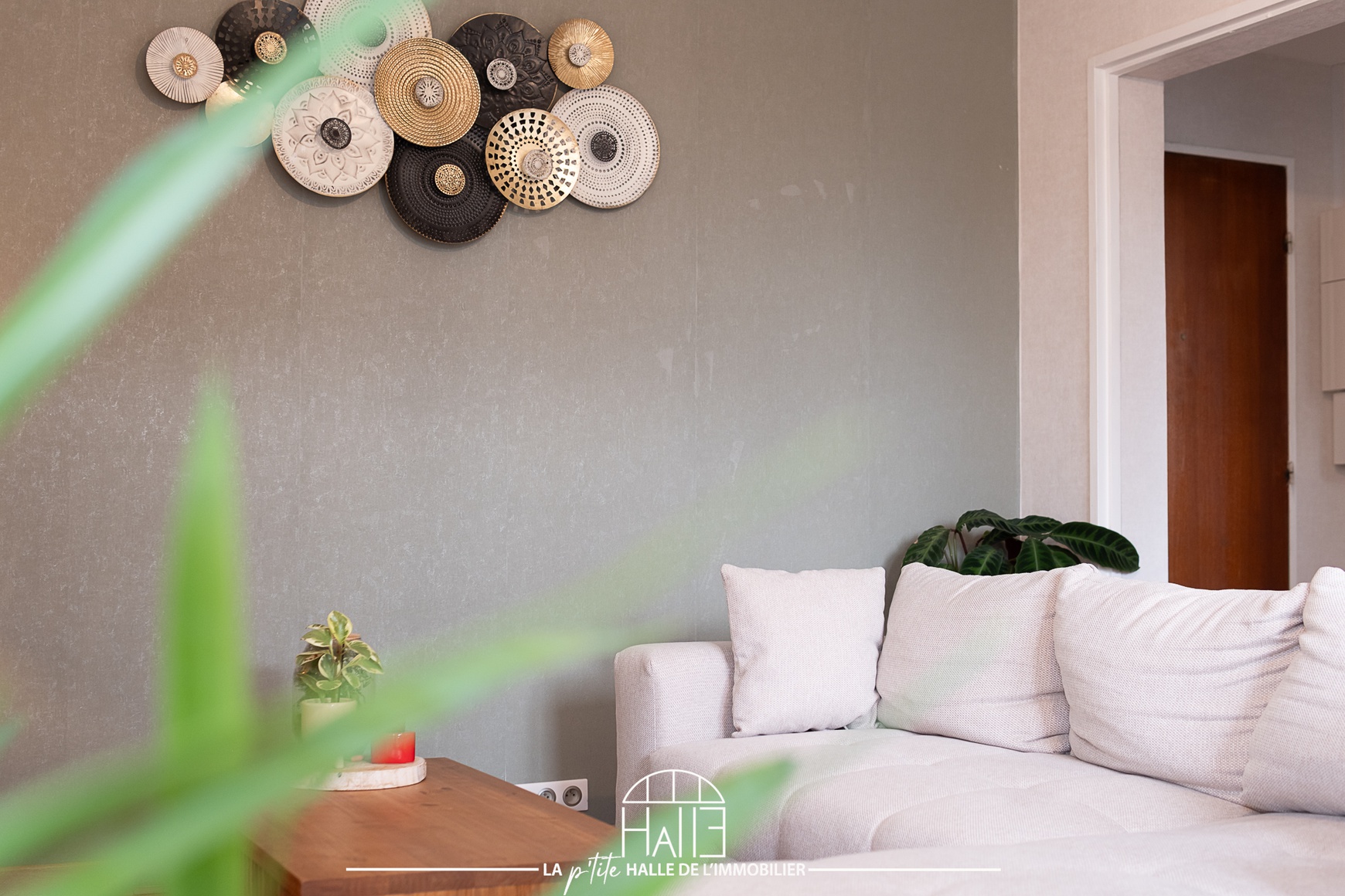 Appartement - Limoges