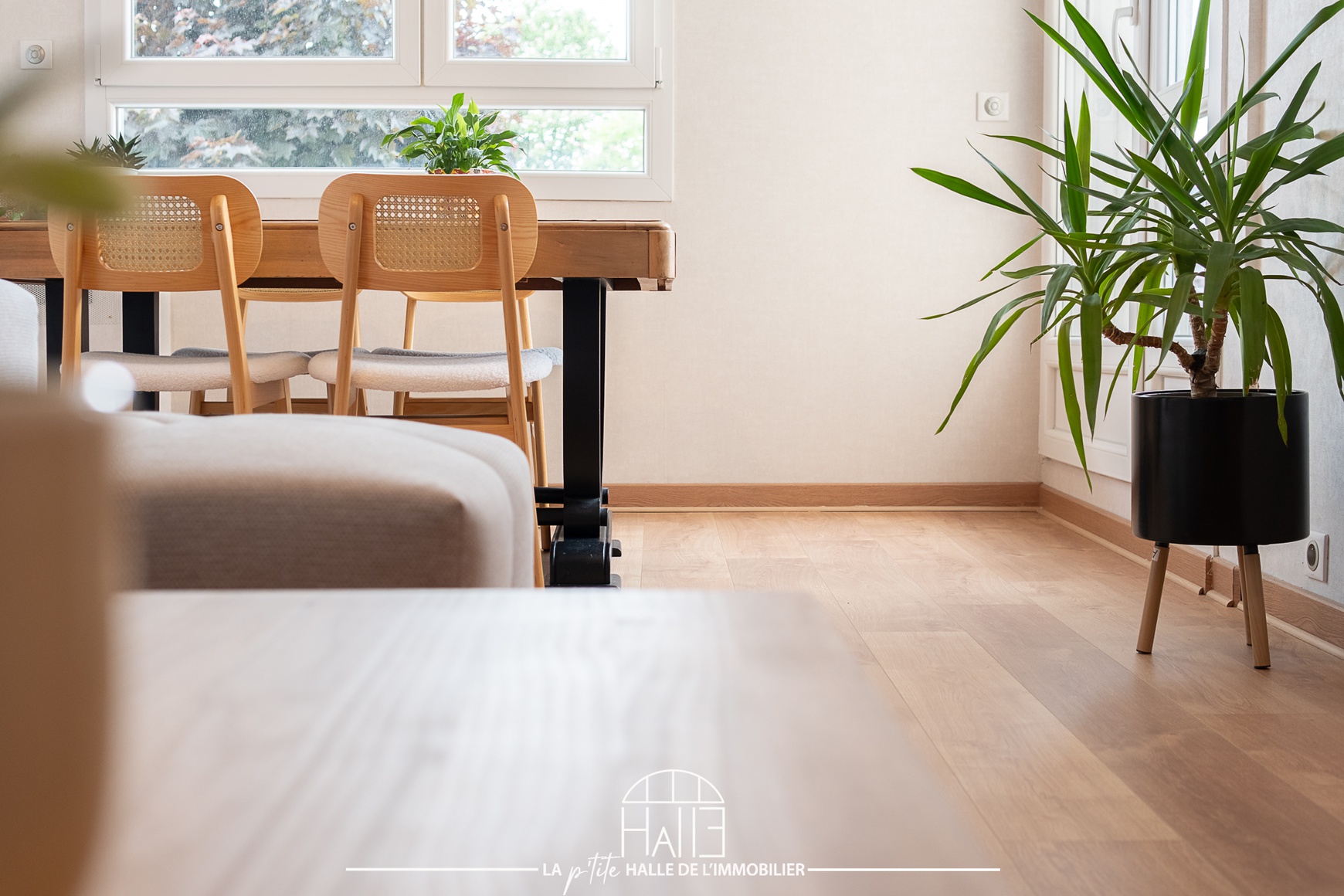 Appartement - Limoges
