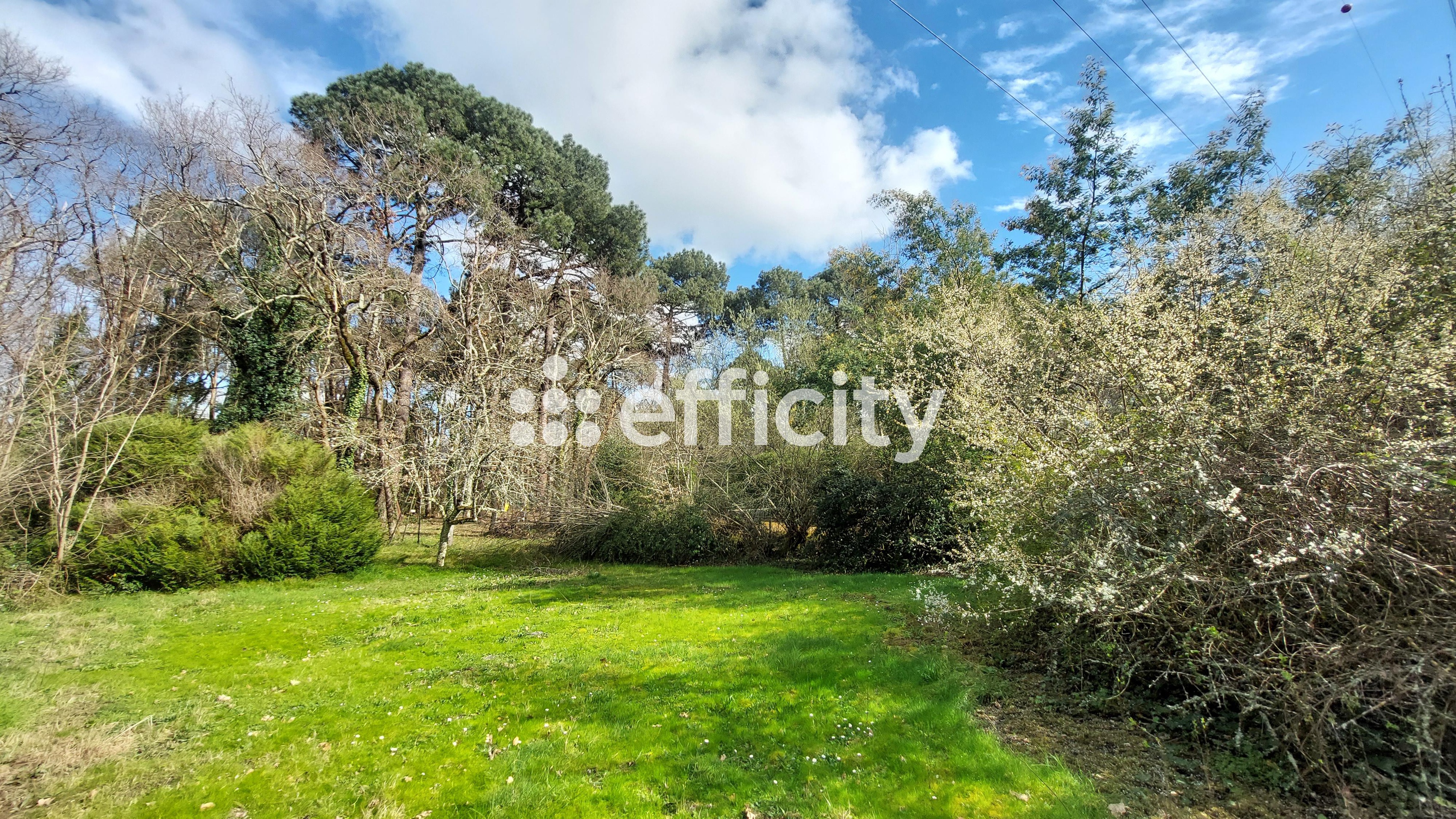 Achat immobilier Maison 8 pièces  314m2 à Eysines (33320) - Photo n°4