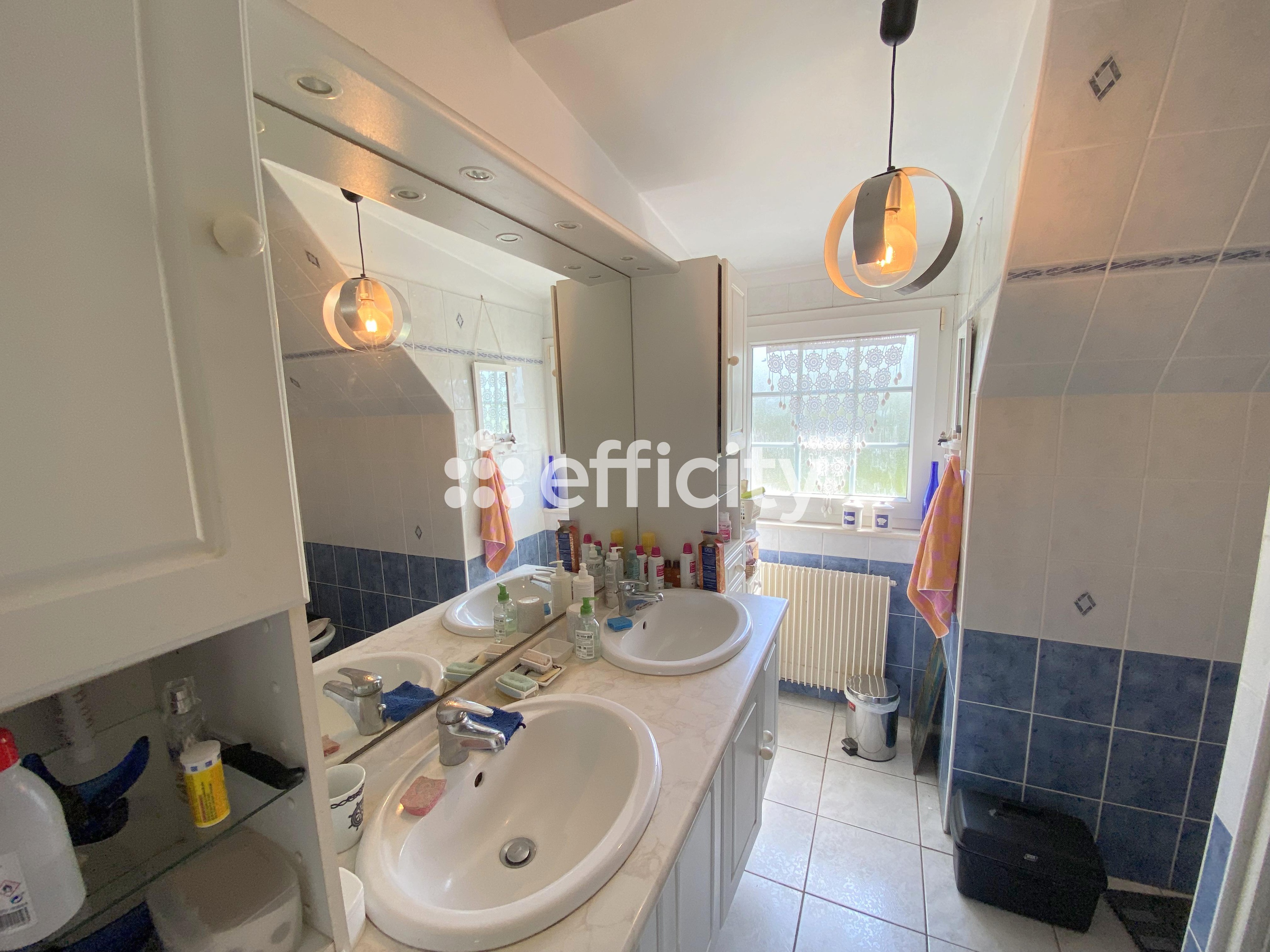 Achat immobilier Maison 9 pièces  193m2 à Plabennec (29860) - Photo n°12