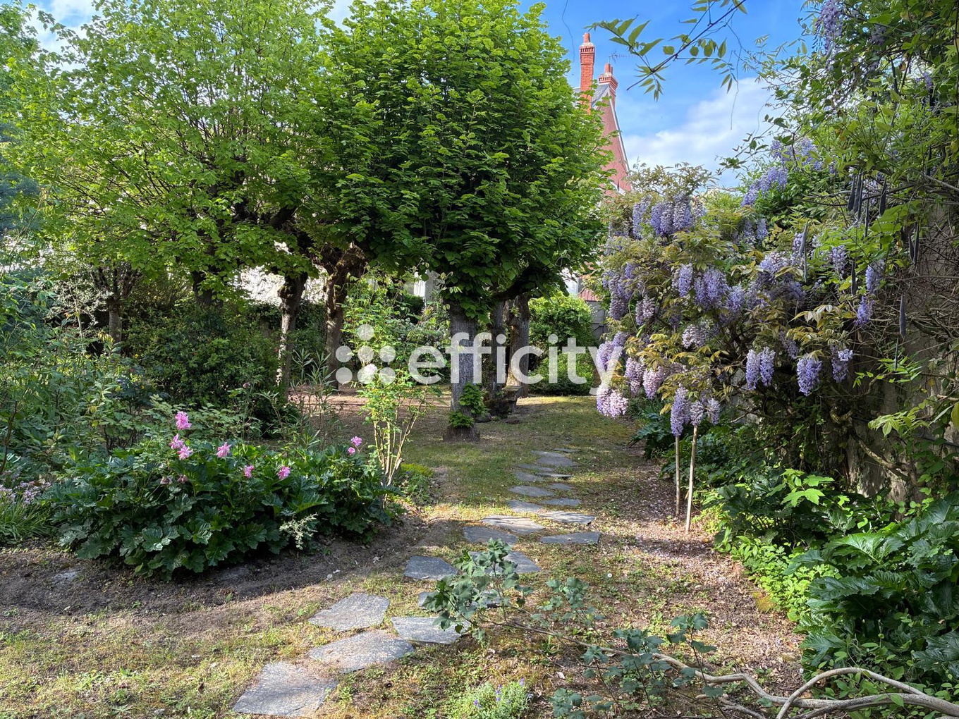 Achat immobilier Maison 7 pièces  225m2 à Vouvray (37210) - Photo n°9