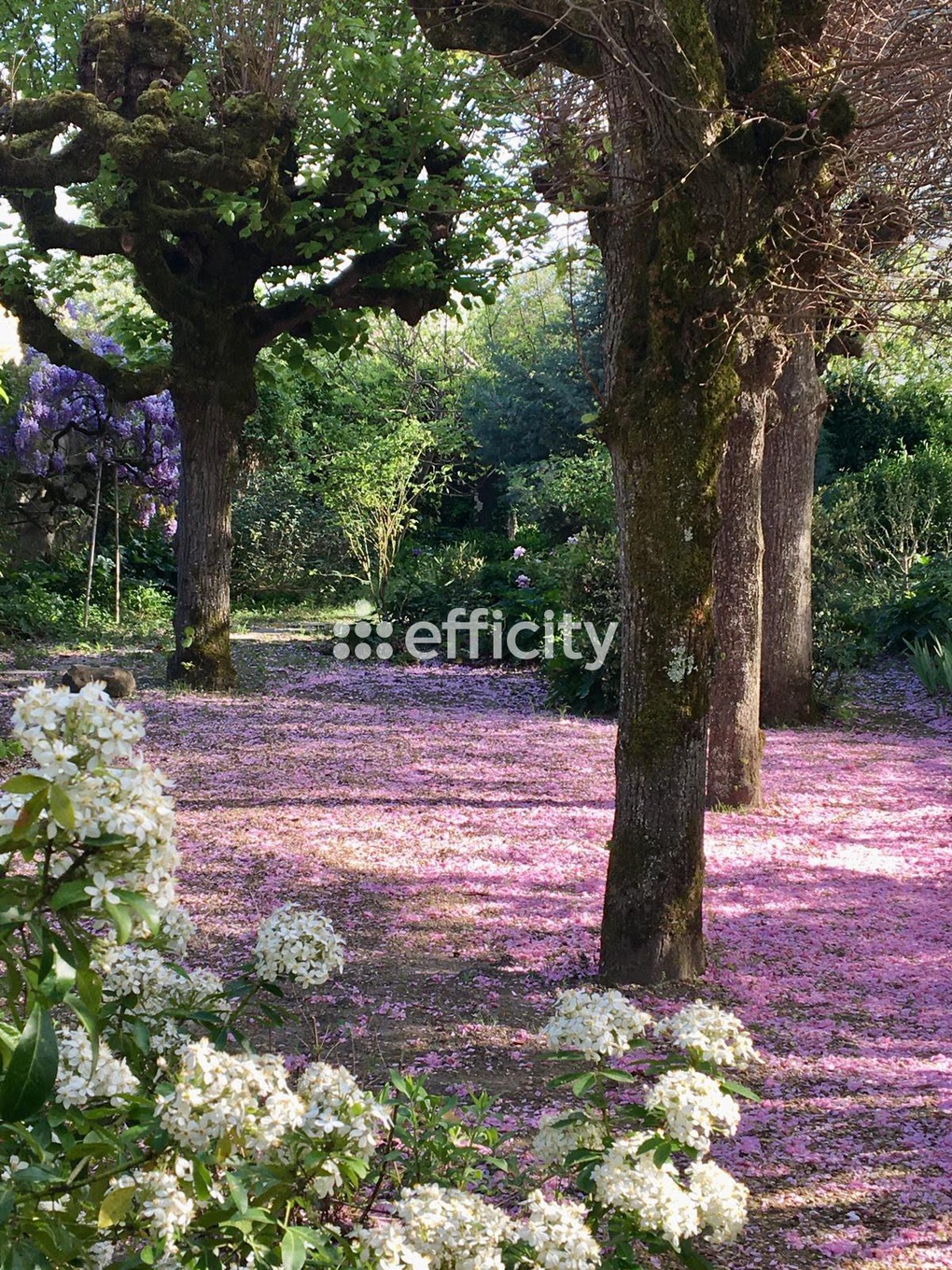 Achat immobilier Maison 7 pièces  225m2 à Vouvray (37210) - Photo n°8