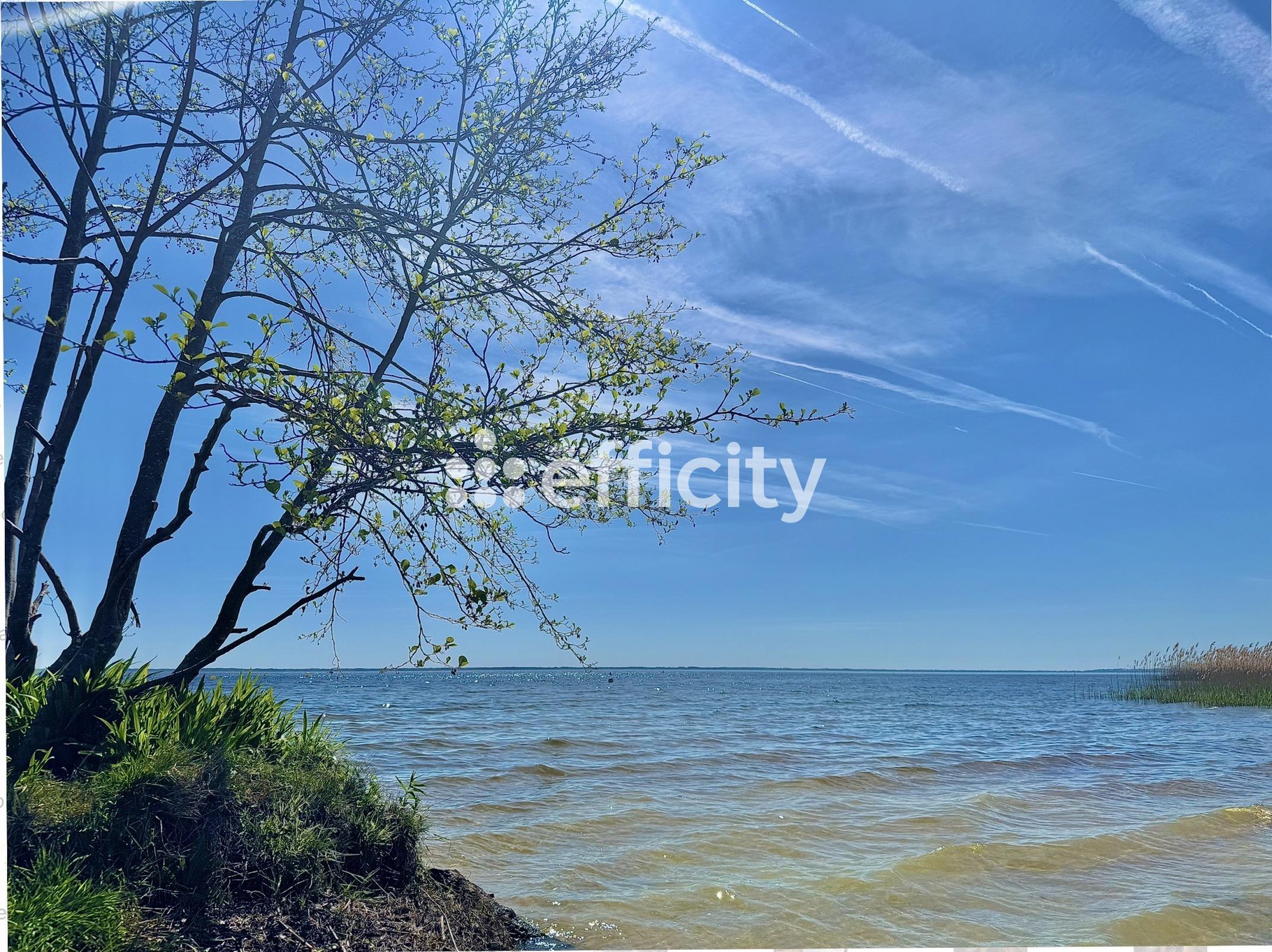 Achat immobilier Maison 4 pièces  101m2 à La Teste-de-Buch (33260) - Photo n°8