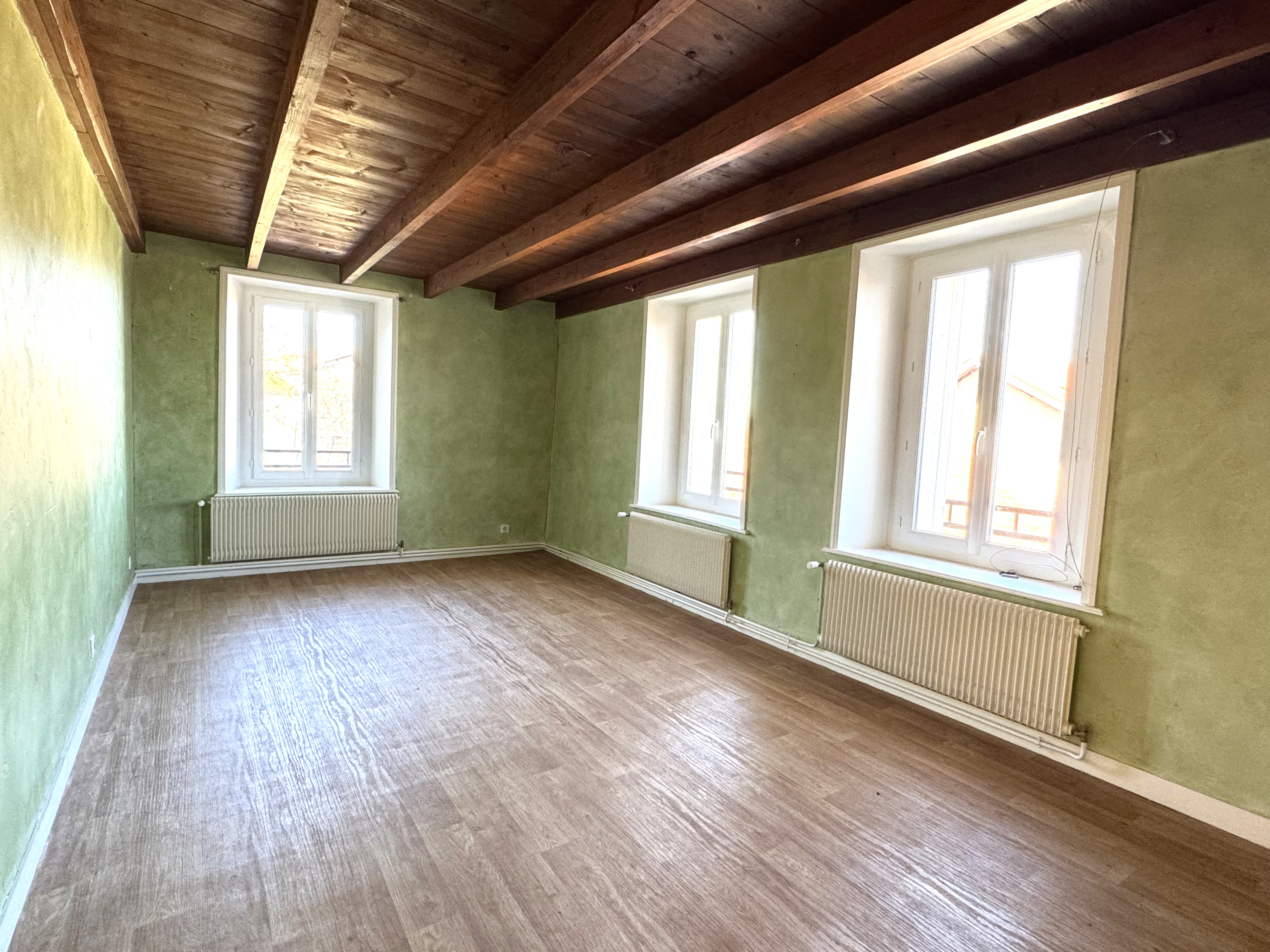 Achat immobilier Maison 7 pièces  252m2 à Bully (42260) - Photo n°12