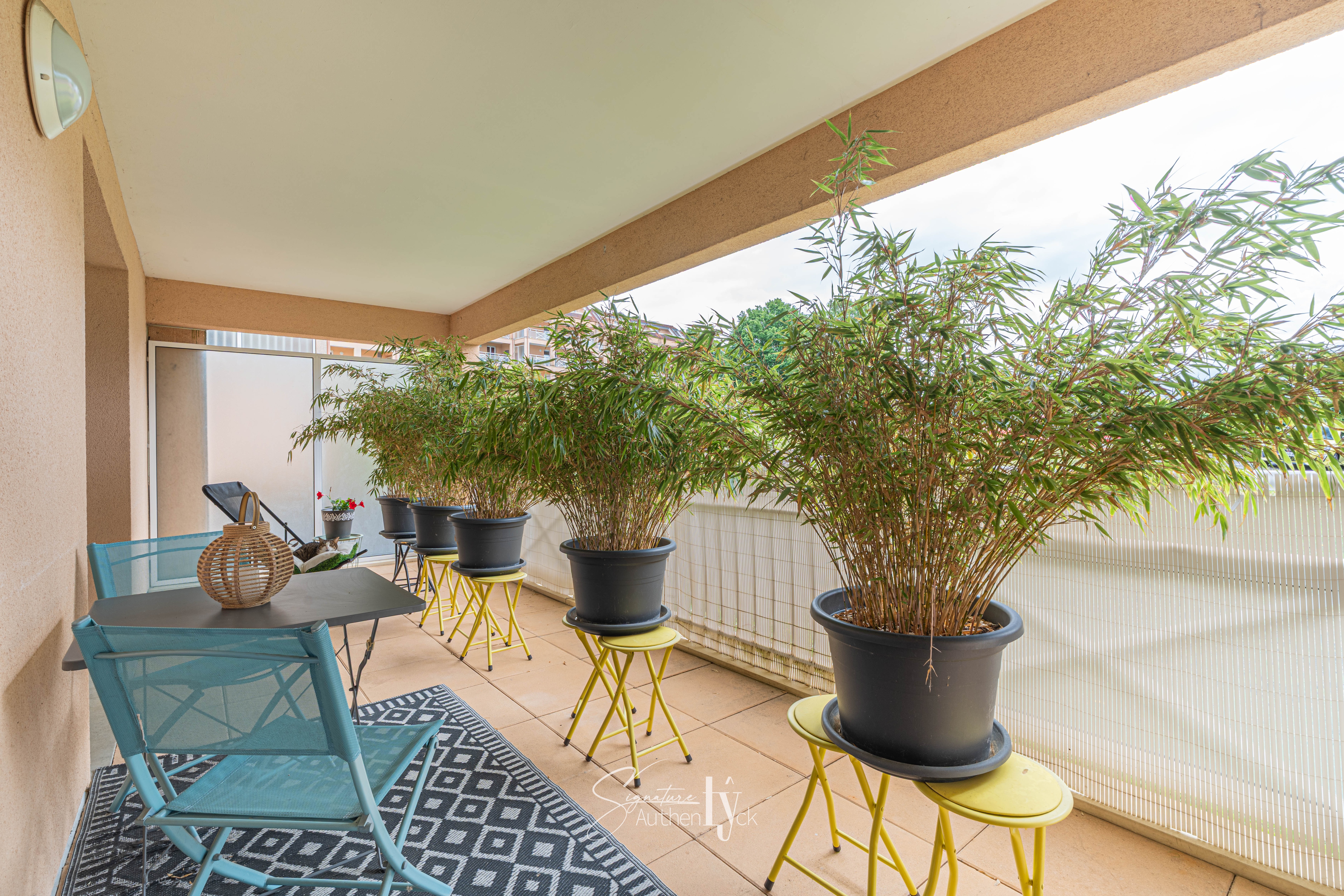 Appartement - Limoges