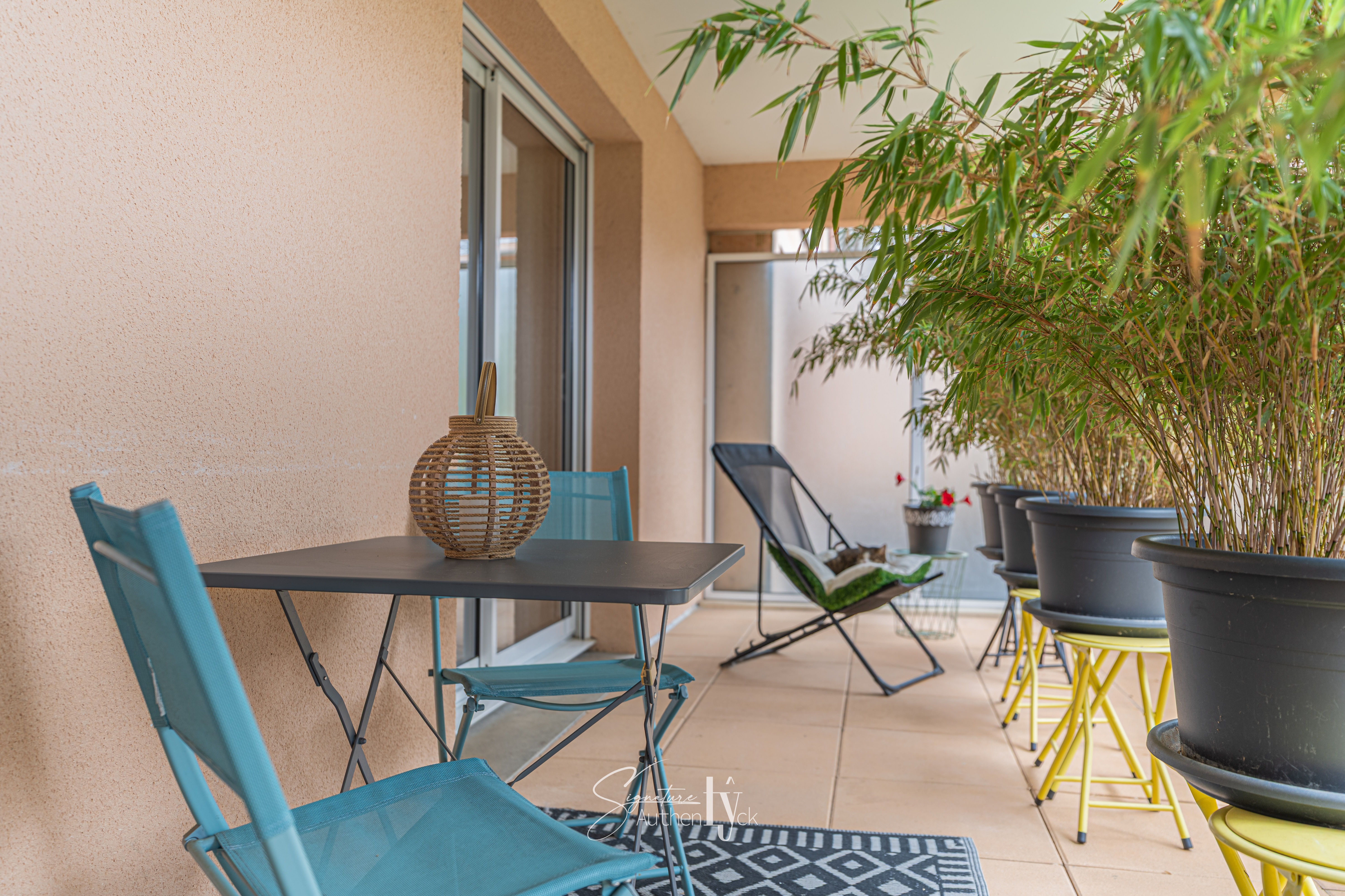 Appartement - Limoges