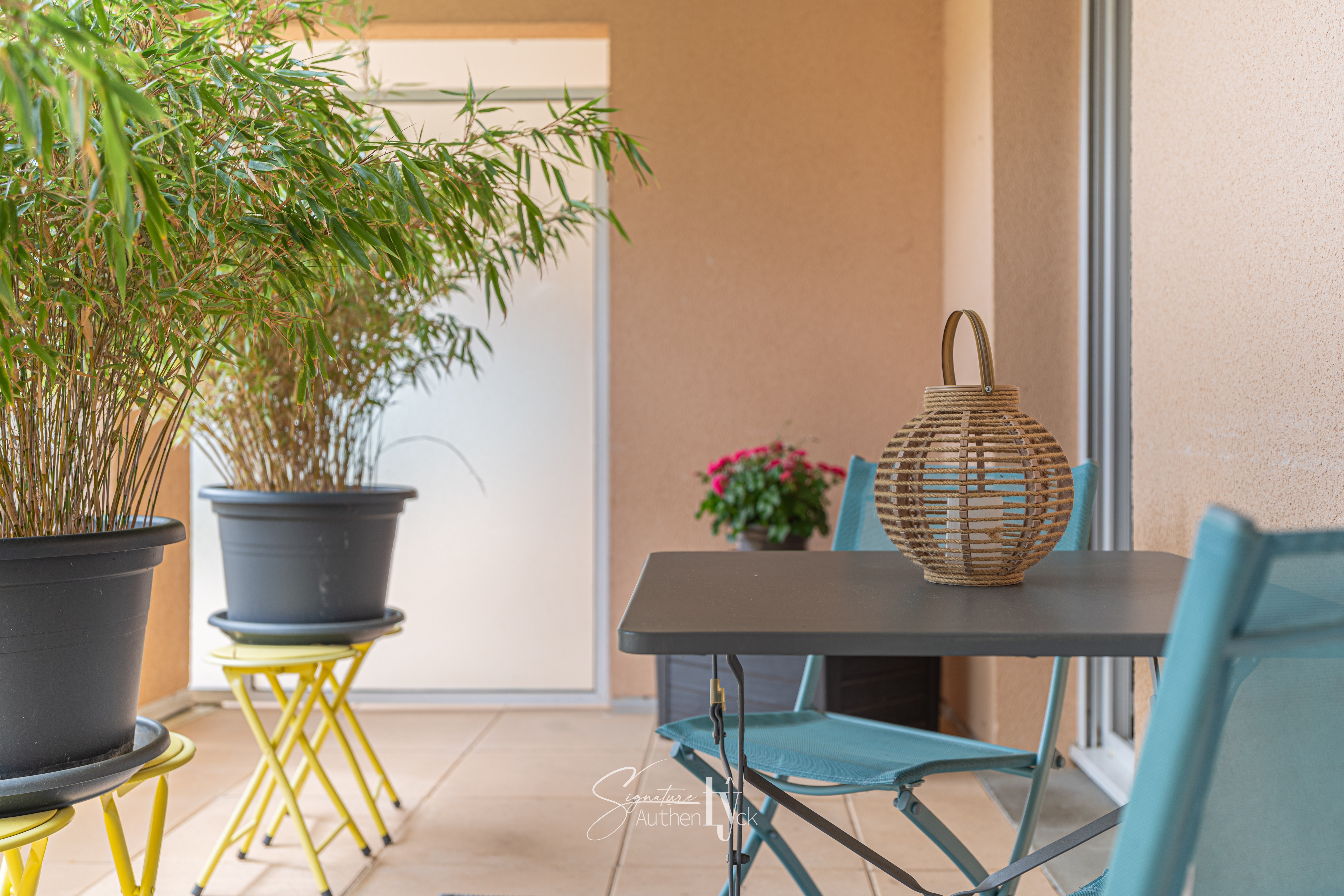 Appartement - Limoges