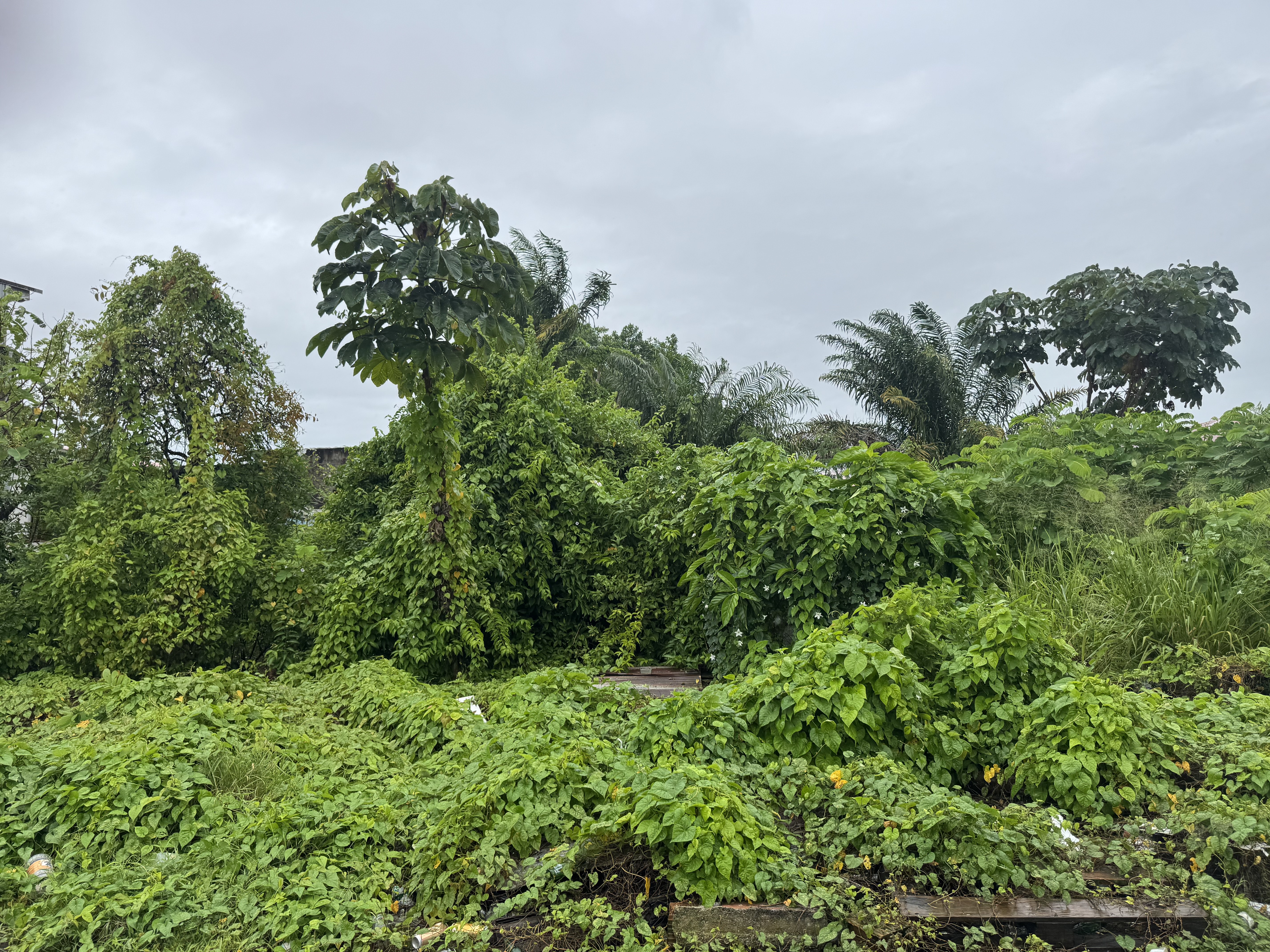 Terrain 270 m² · à Cayenne · 270 m² · 150 000 €