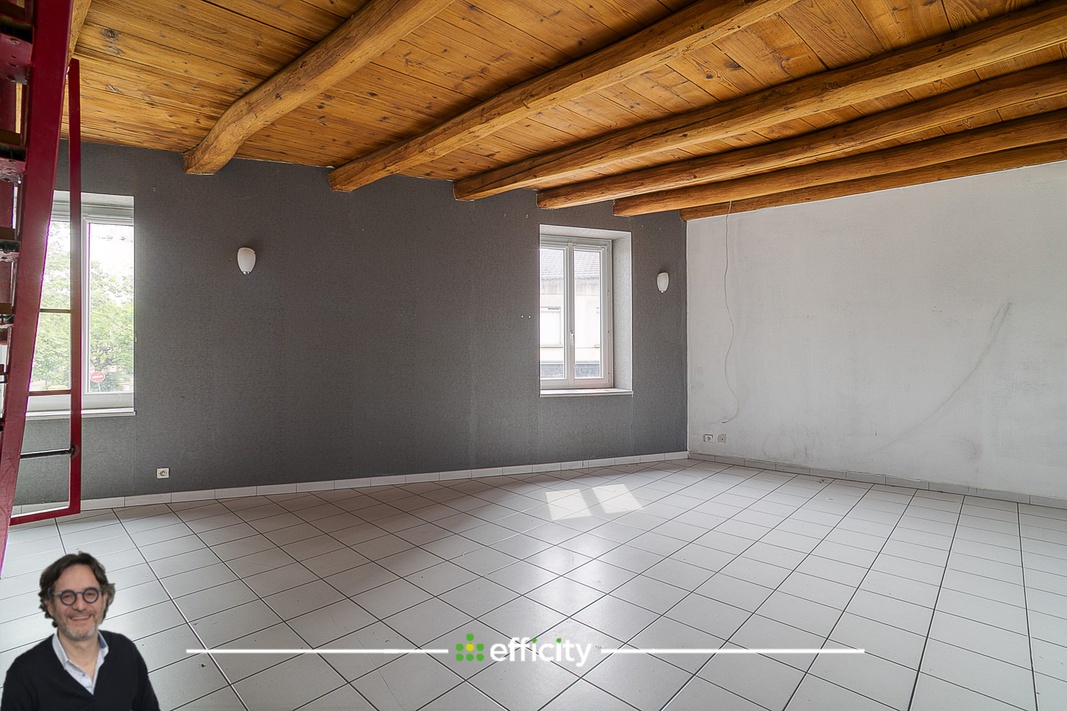 appartement 3 pièces - 70m2 à Villette-d'Anthon (38280)