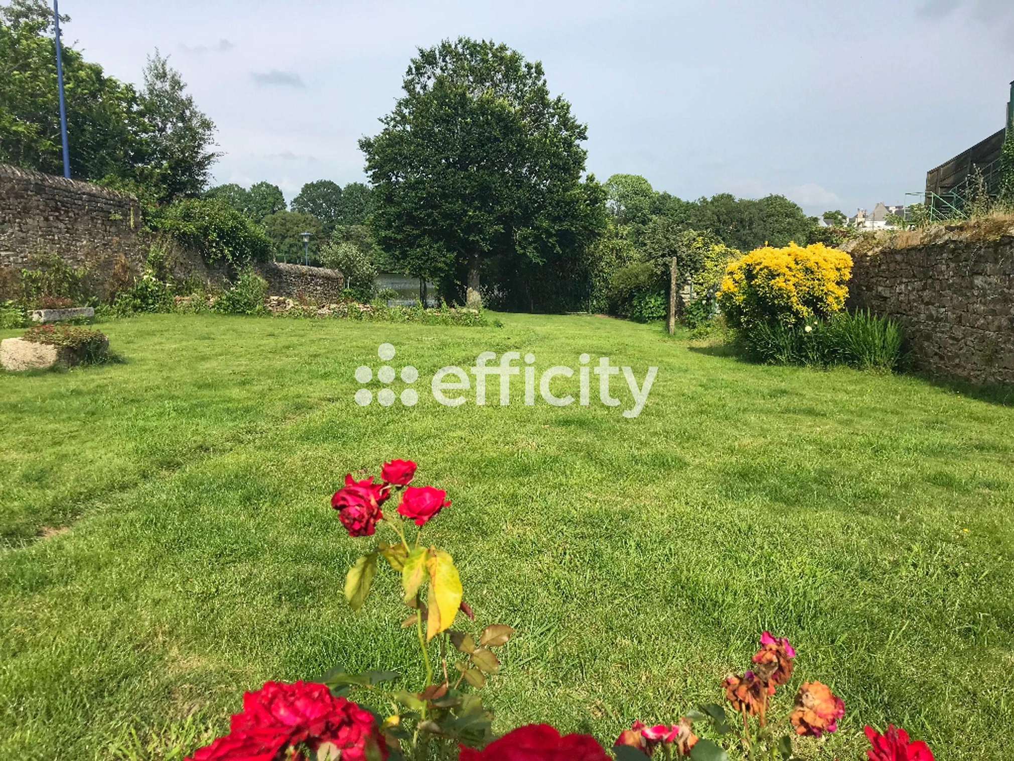 Achat immobilier Maison 8 pièces  230m2 à Rosporden (29140) - Photo n°15