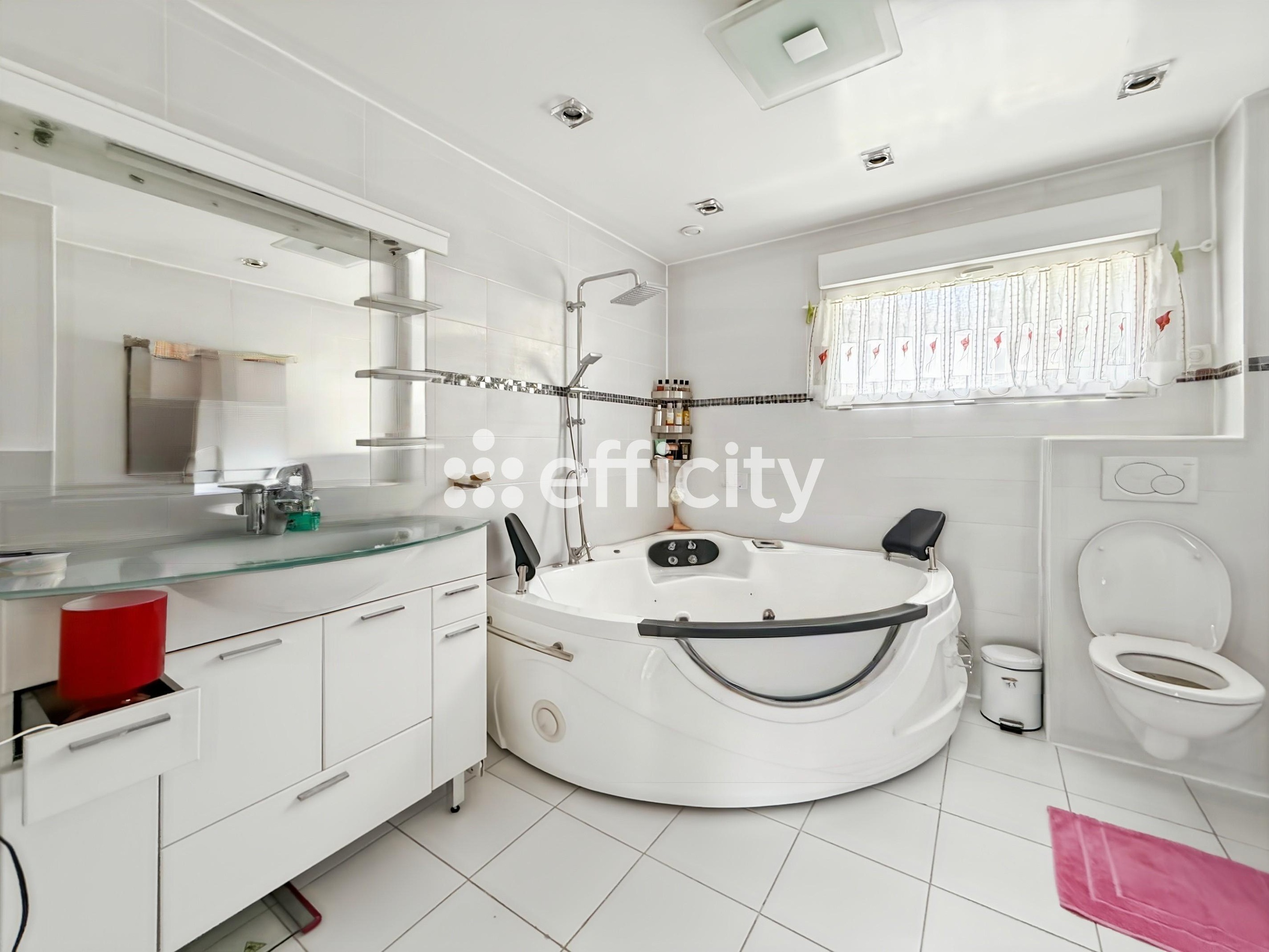 Achat immobilier Maison 5 pièces  149m2 à Saint-Règle (37530) - Photo n°14