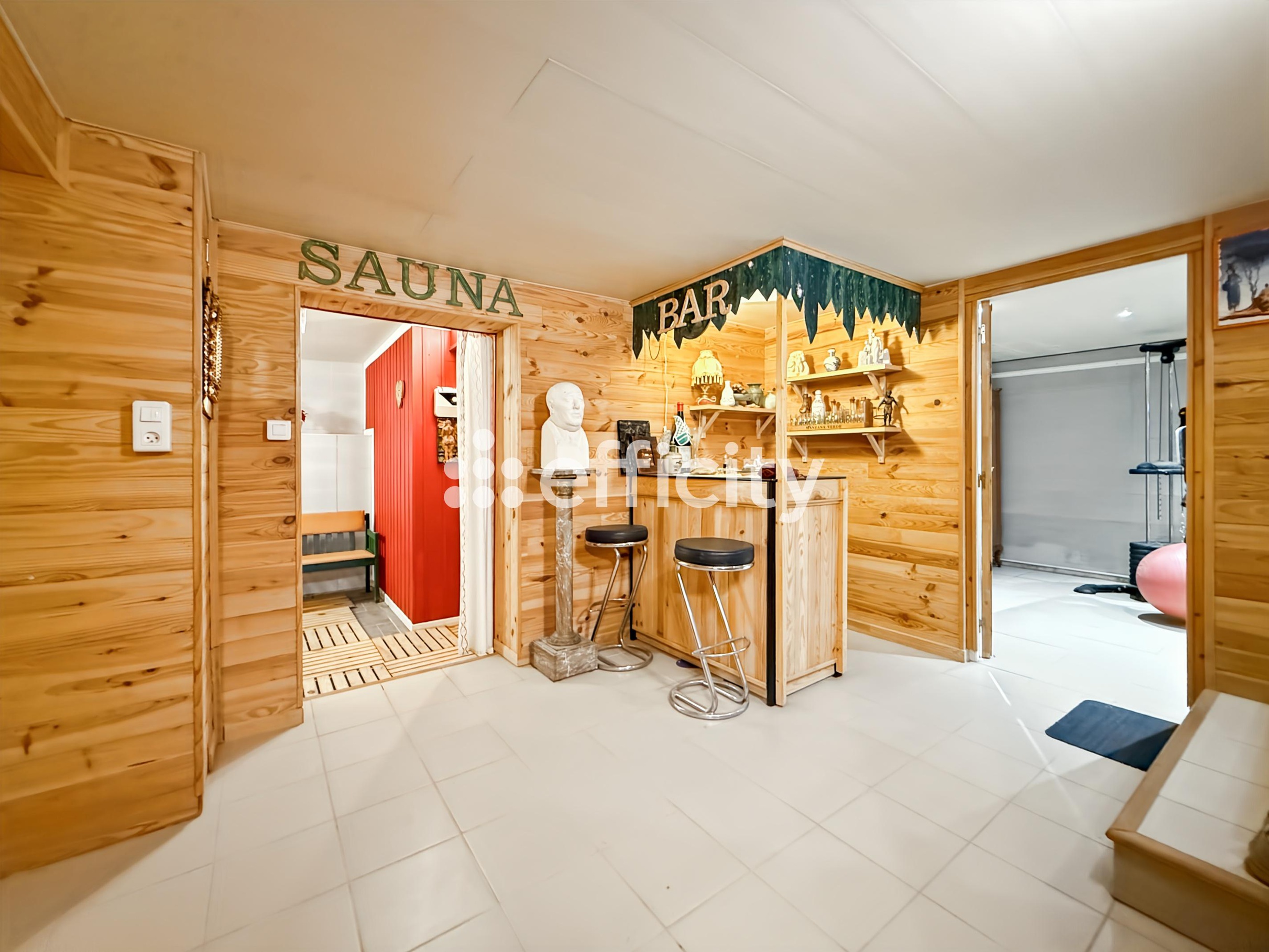 Achat immobilier Maison 5 pièces  149m2 à Saint-Règle (37530) - Photo n°17