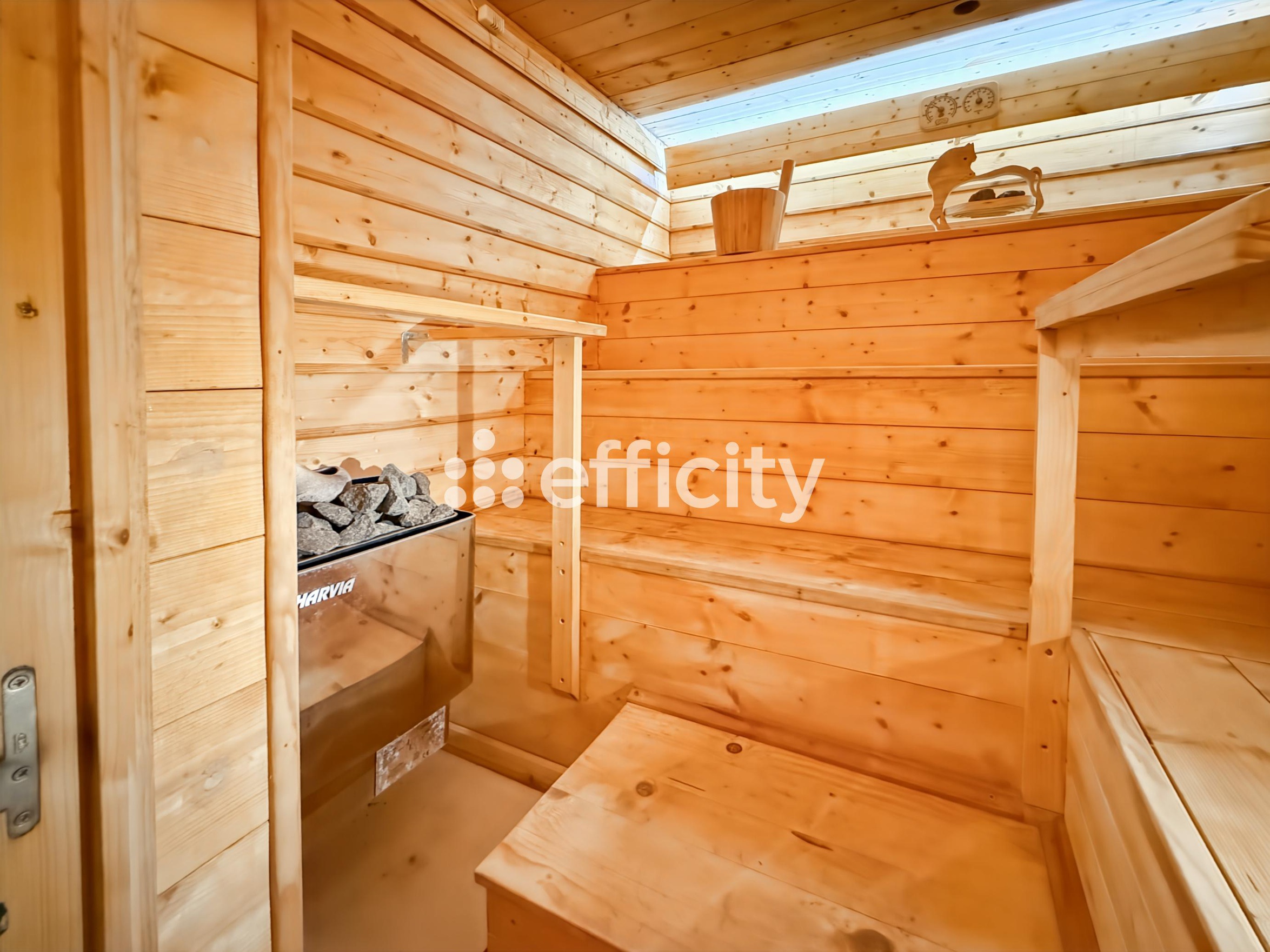 Achat immobilier Maison 5 pièces  149m2 à Saint-Règle (37530) - Photo n°19