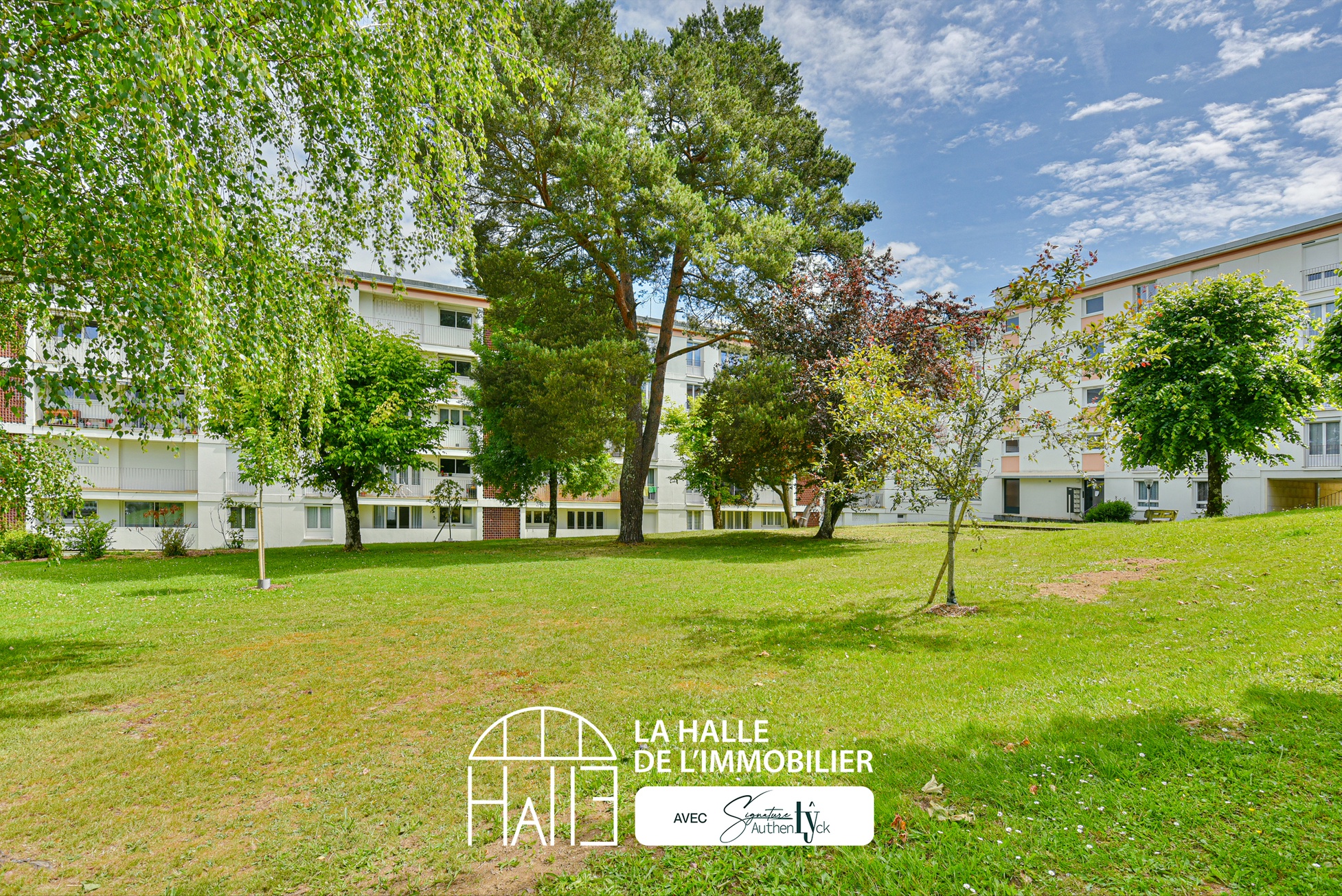 Appartement - Limoges