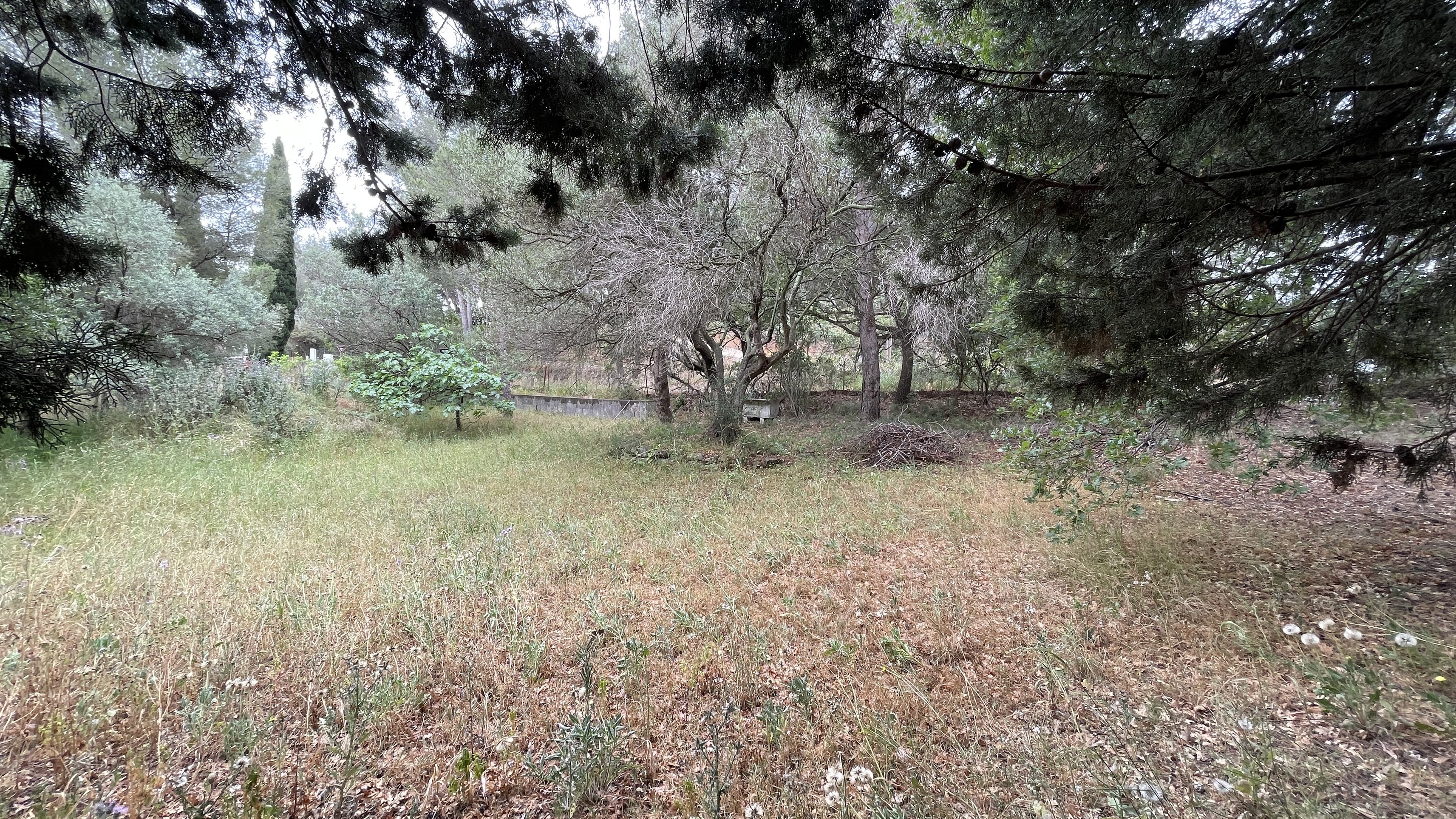 Achat immobilier Terrain   713m2 à Carqueiranne (83320) - Photo n°1