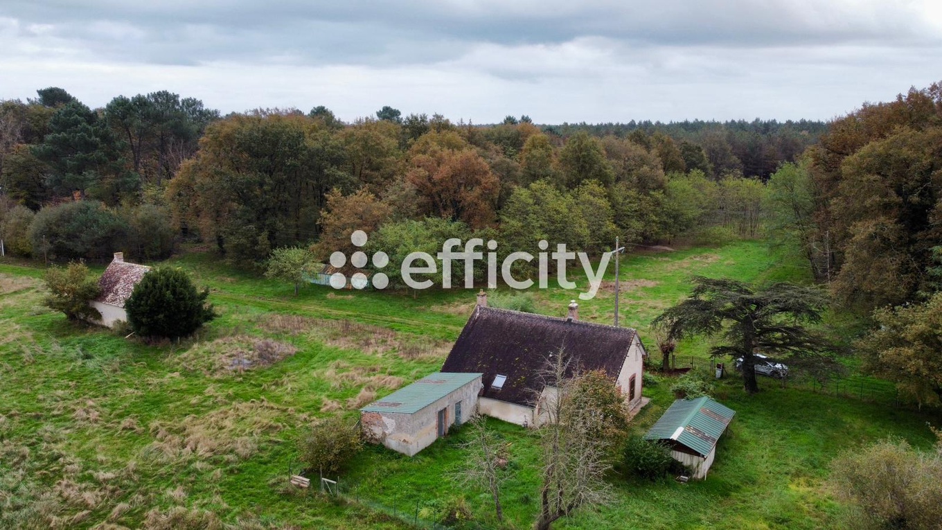 Achat immobilier Maison 5 pièces  103m2 à Gy-en-Sologne (41230) - Photo n°4
