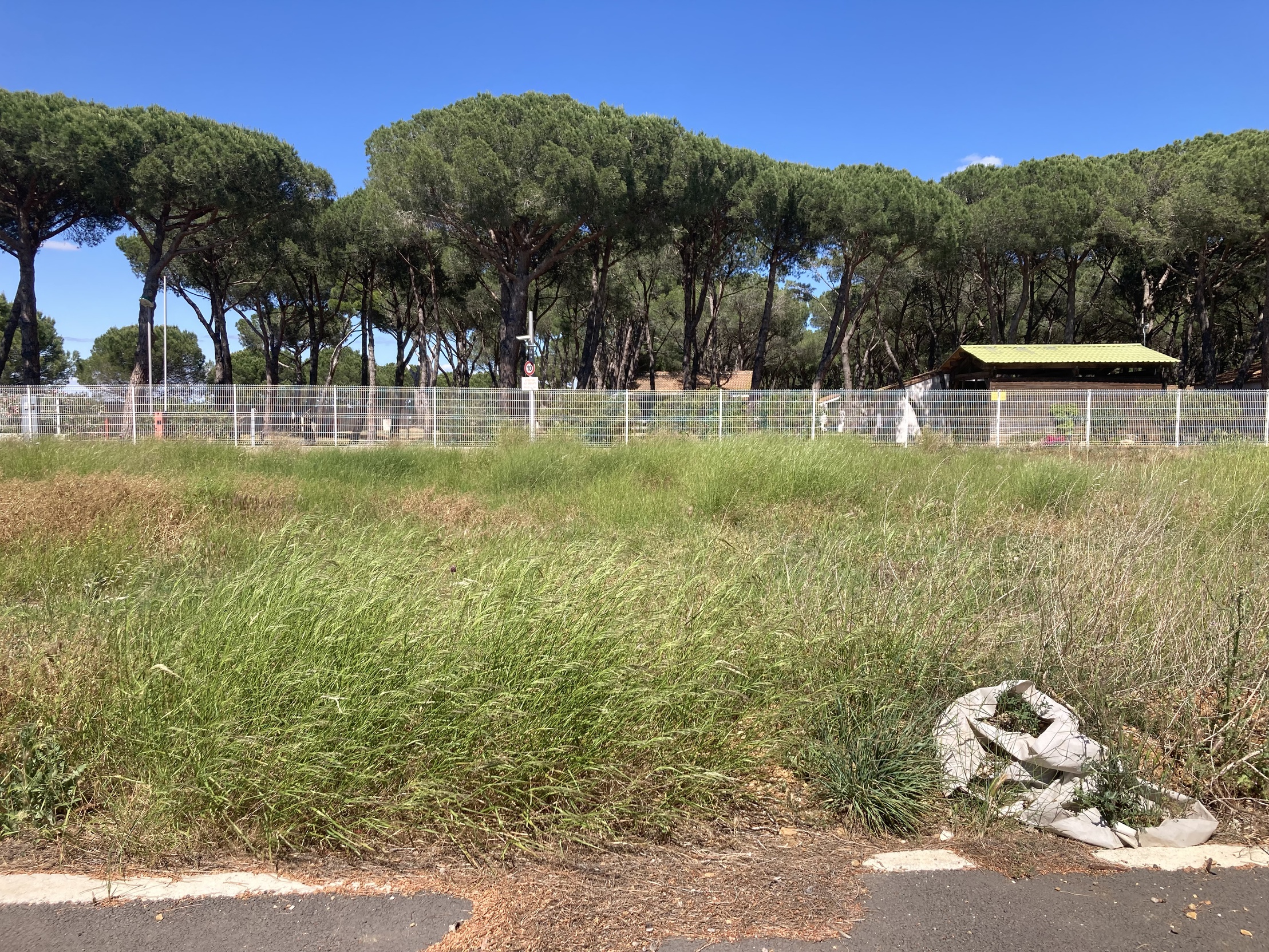 terrain  - 292m2 à Sérignan (34410)