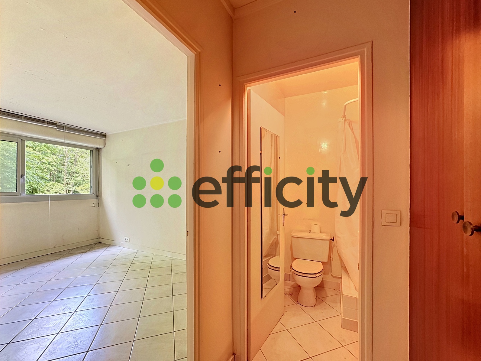 appartement 1 pièces - 17m2 à Meudon (92190)