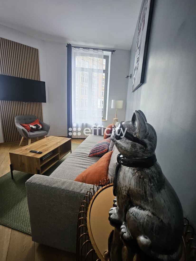 appartement 3 pièces - 53m2 à Lille (59800)