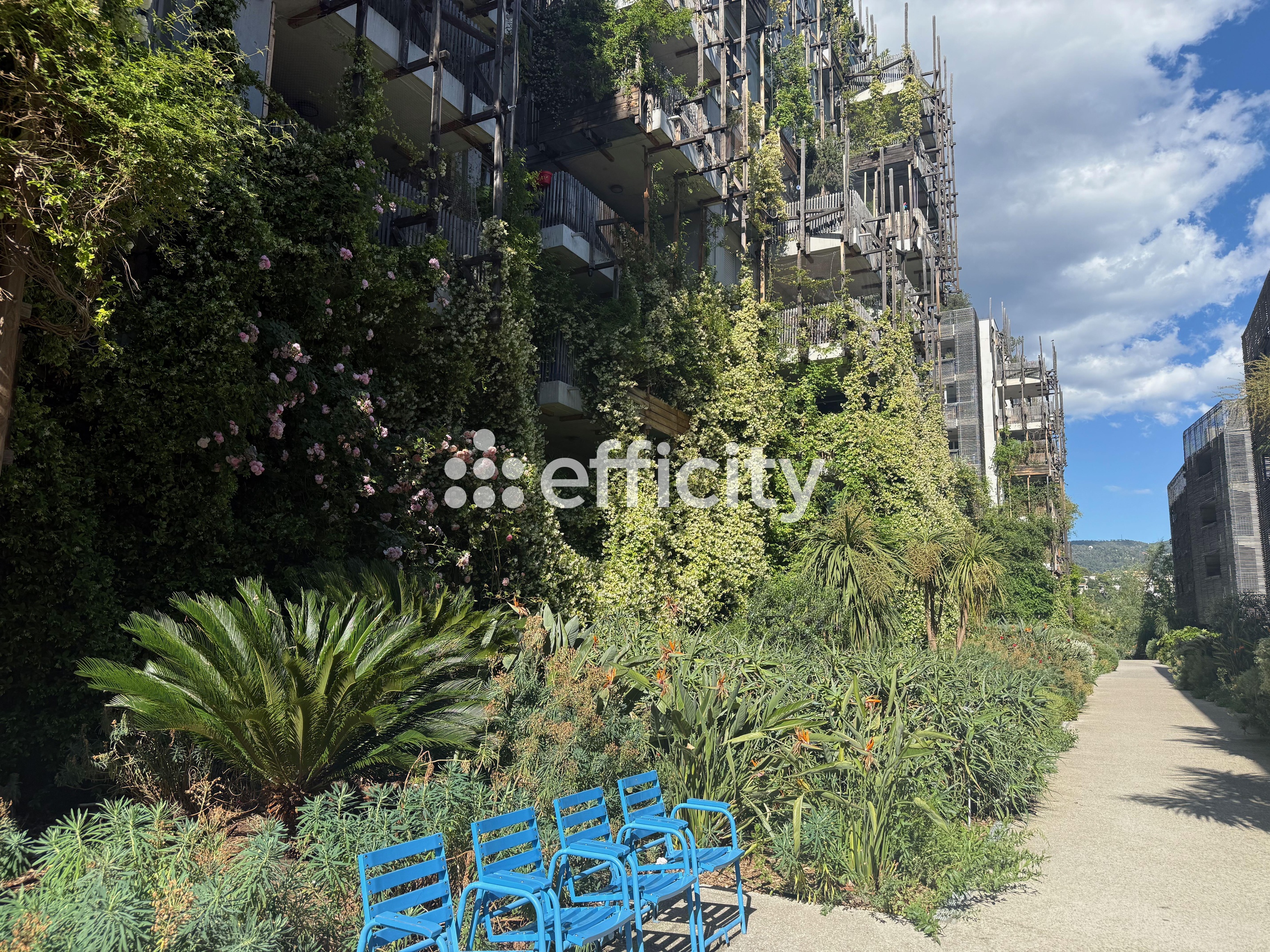 appartement 2 pièces - 37m2 à Nice (06100)