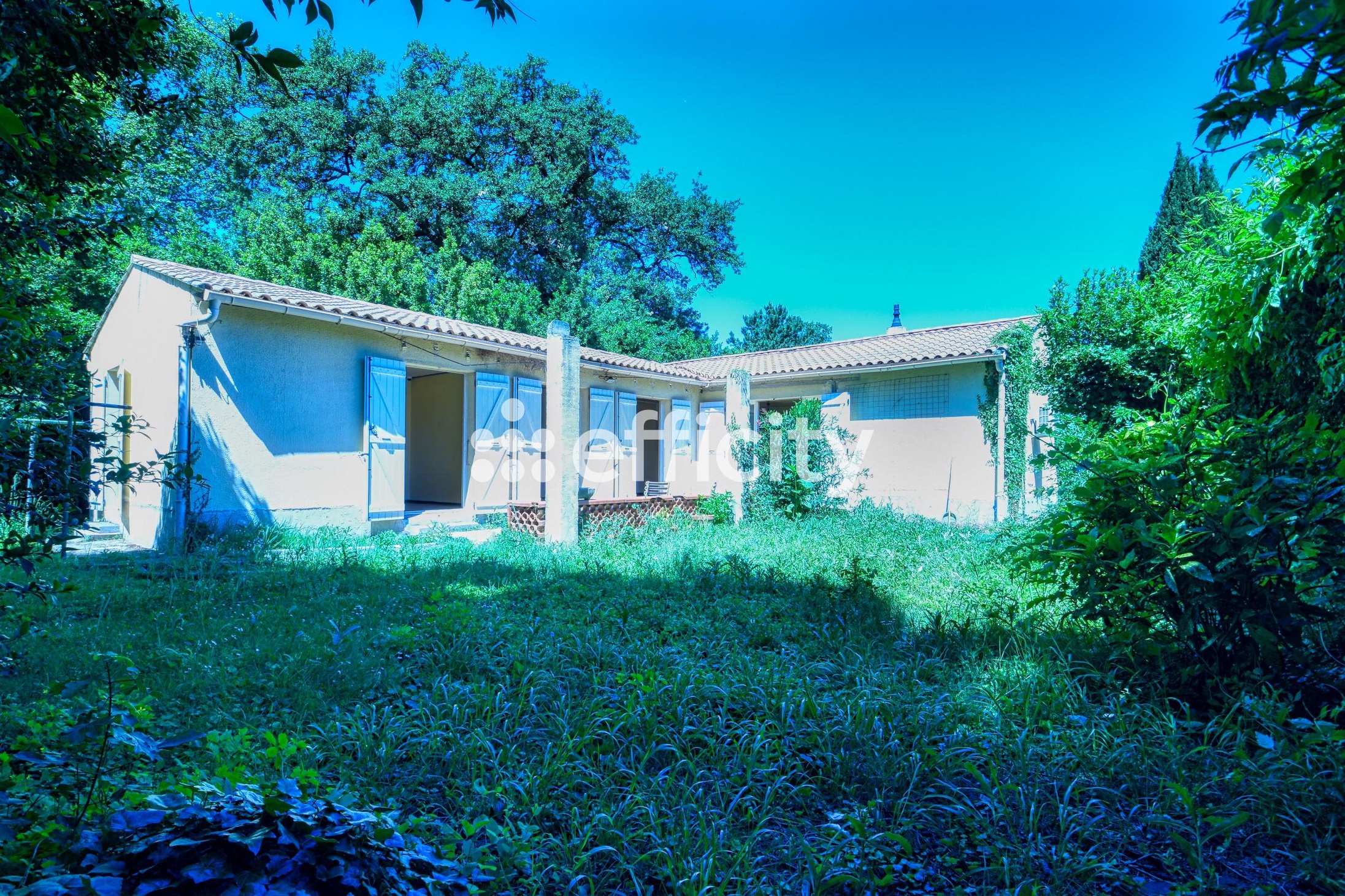 Photo illustration