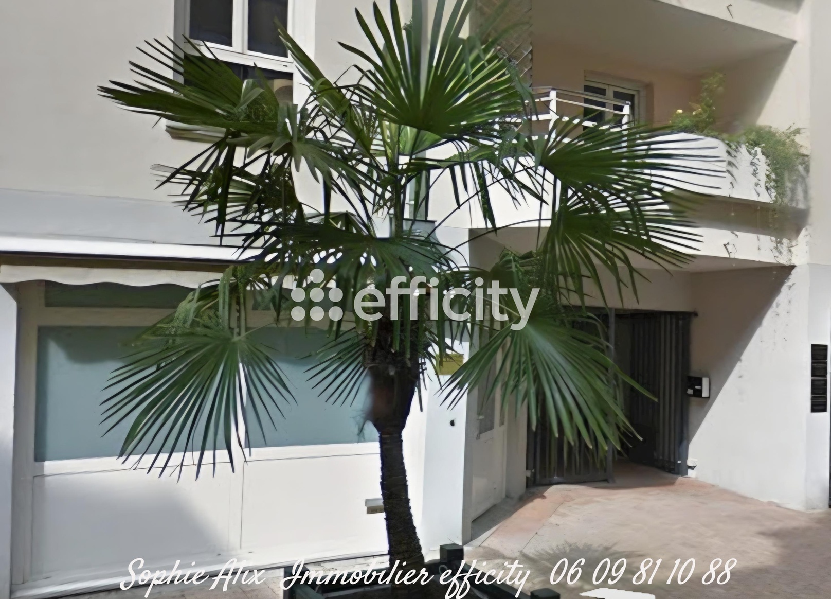 local commercial  - 62m2 à Clamart (92140)