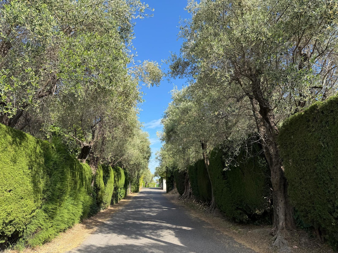 Achat immobilier Maison 4 pièces  111m2 à Nice (06200) - Photo n°13