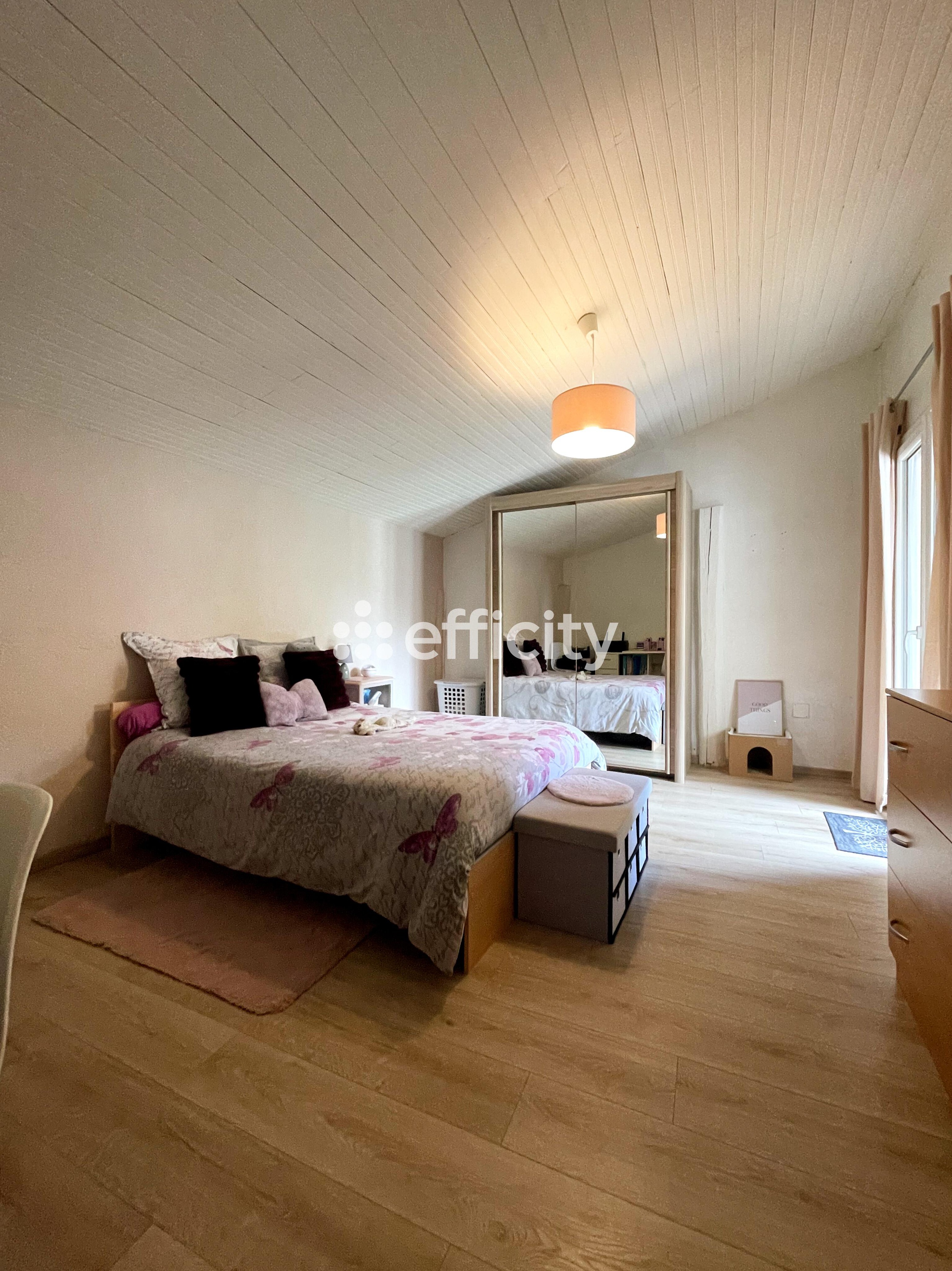 Achat immobilier Maison 9 pièces  116m2 à Brassac (09000) - Photo n°5