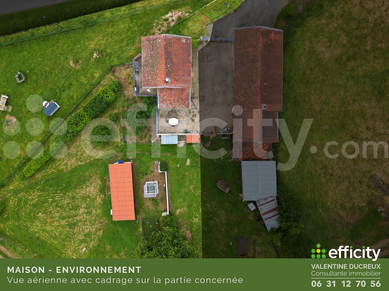 Photo illustration