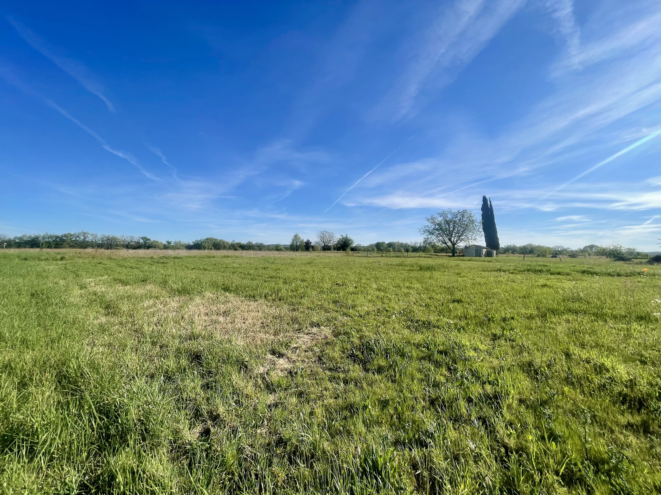 terrain  - 2038m2 à Graulhet (81300)