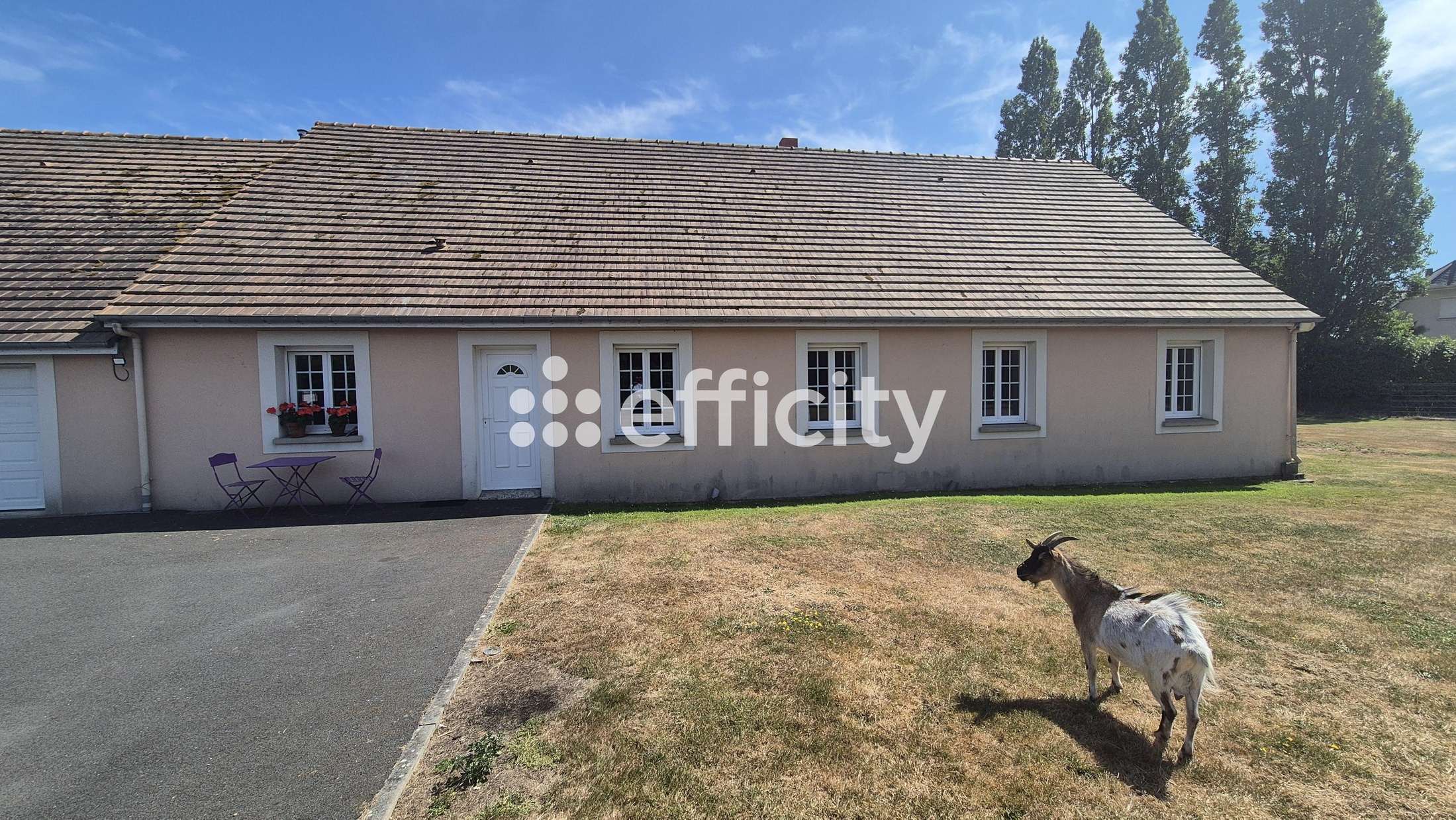 maison 6 pièces - 173m2 à Subles (14400)