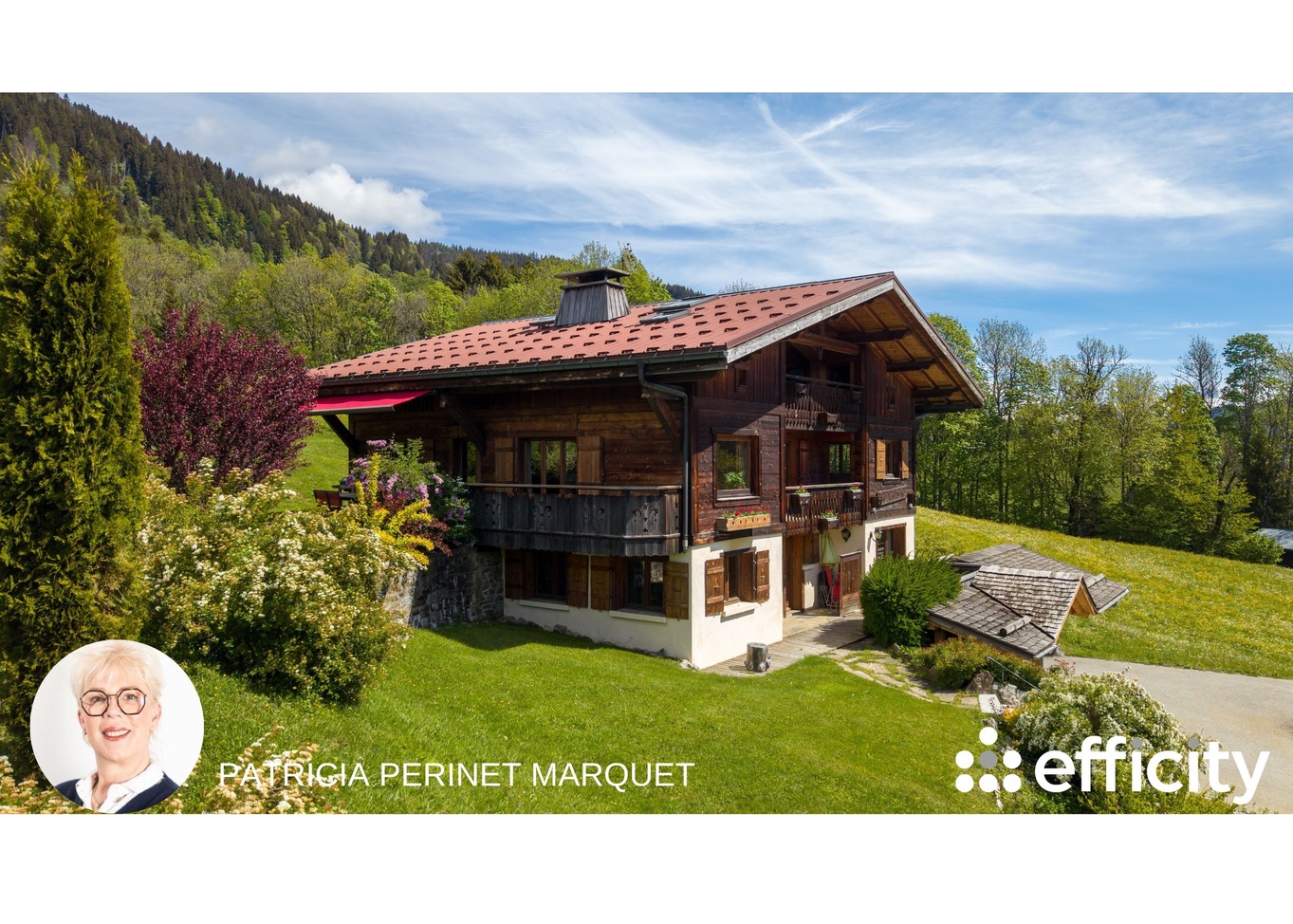 maison 12 pièces - 243m2 à Megève (74120)